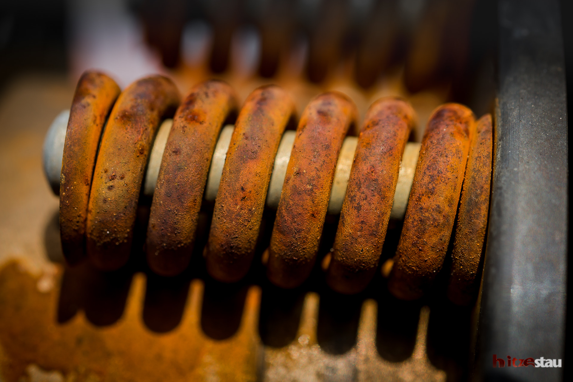 Nikon AF-S Micro-Nikkor 60mm F2.8G ED sample photo. Rusty spring photography