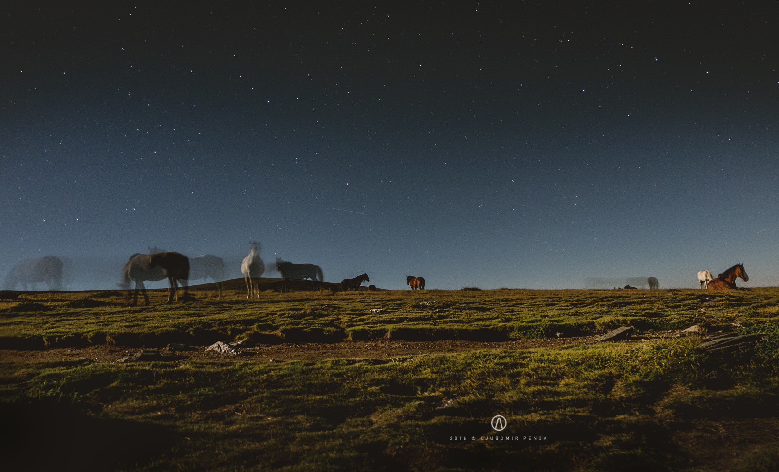 Fujifilm XC 16-50mm F3.5-5.6 OIS sample photo. Horses in the night photography