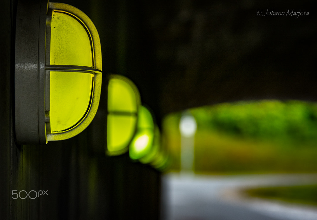 Tamron SP 70-200mm F2.8 Di VC USD sample photo. Green walkway photography