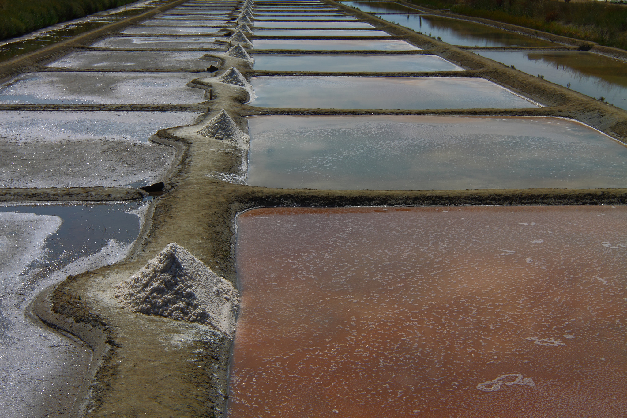 Canon 11-16mm sample photo. Colors  swamp photography