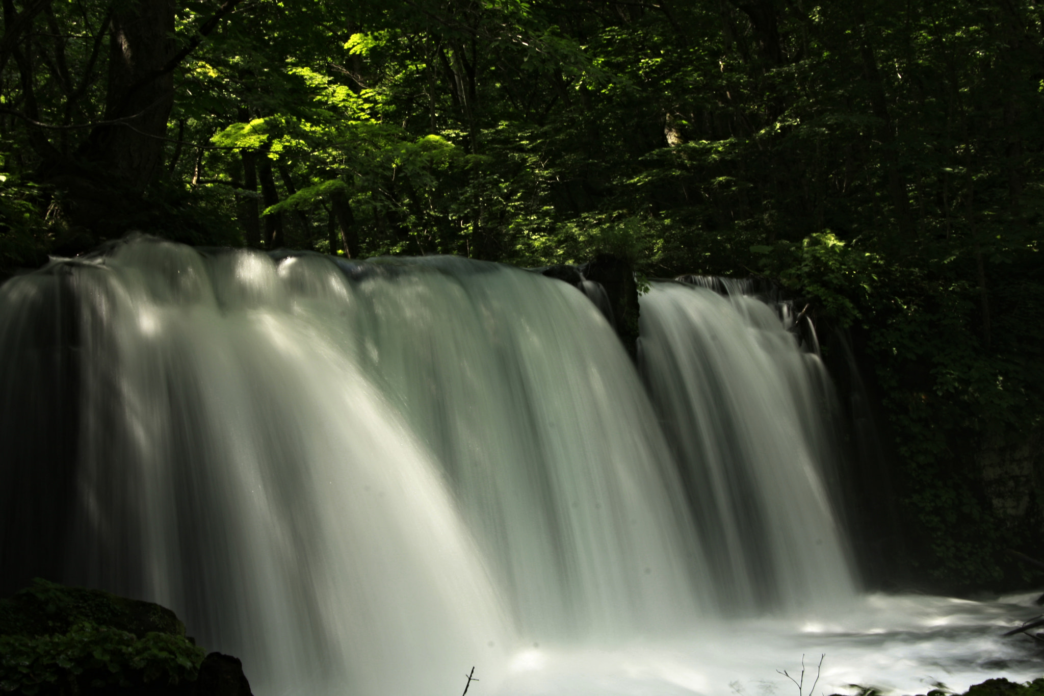 Canon EOS 40D sample photo. Oirase mountain stream, aomori prefecture, japan photography