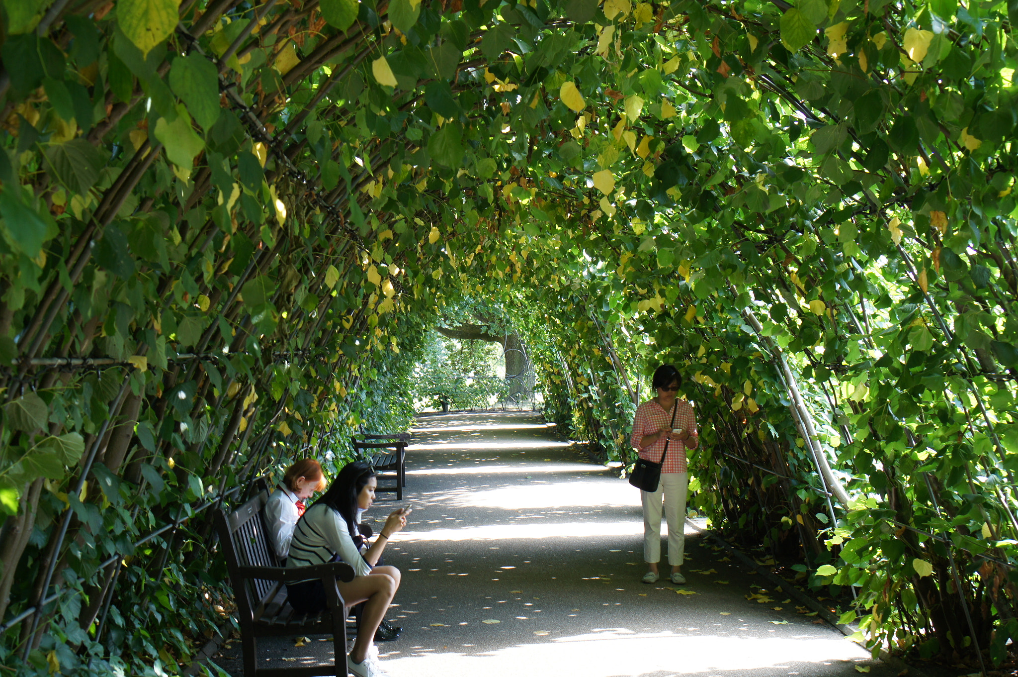 Sony E 35mm F1.8 OSS sample photo. Green tunnel at kensington gardens photography