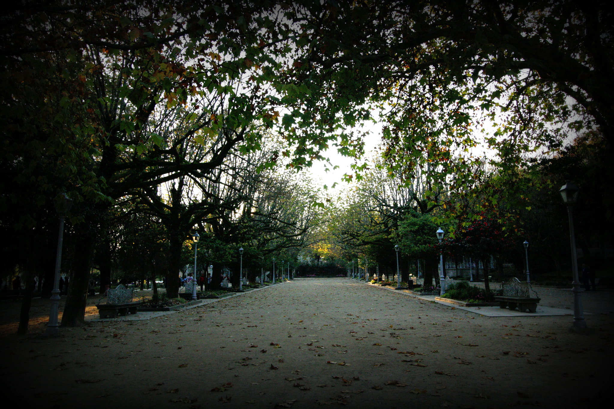 Canon EOS 1000D (EOS Digital Rebel XS / EOS Kiss F) sample photo. Santiago () photography
