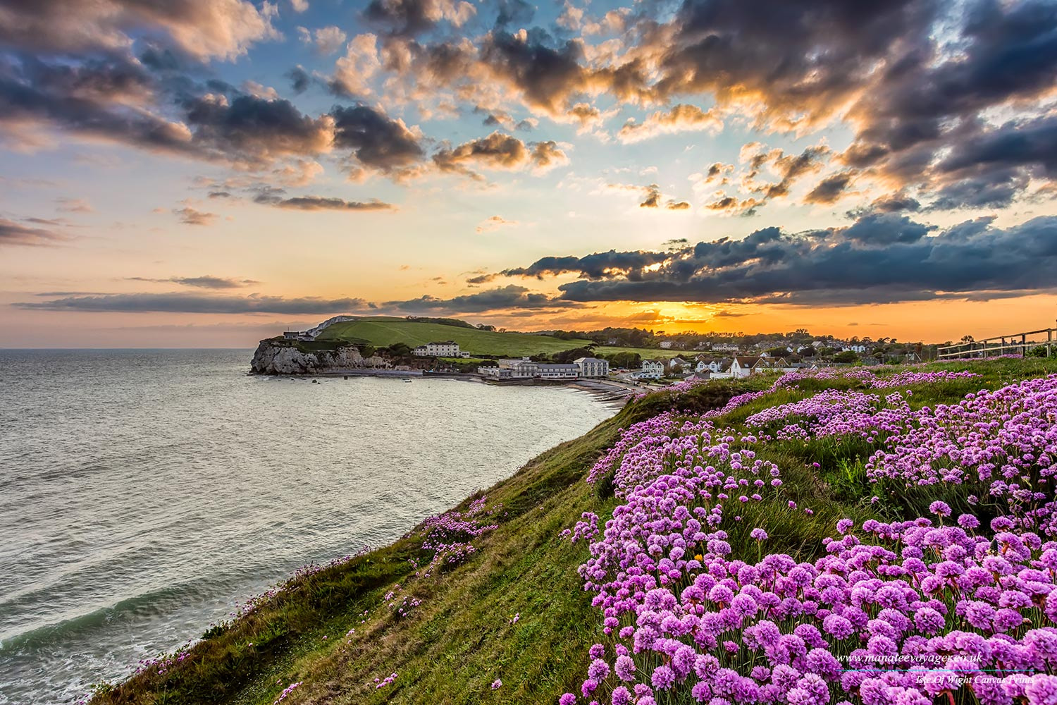 Canon EOS 5DS + Canon EF 17-40mm F4L USM sample photo. Freshwater bay sea thrift sunset photography