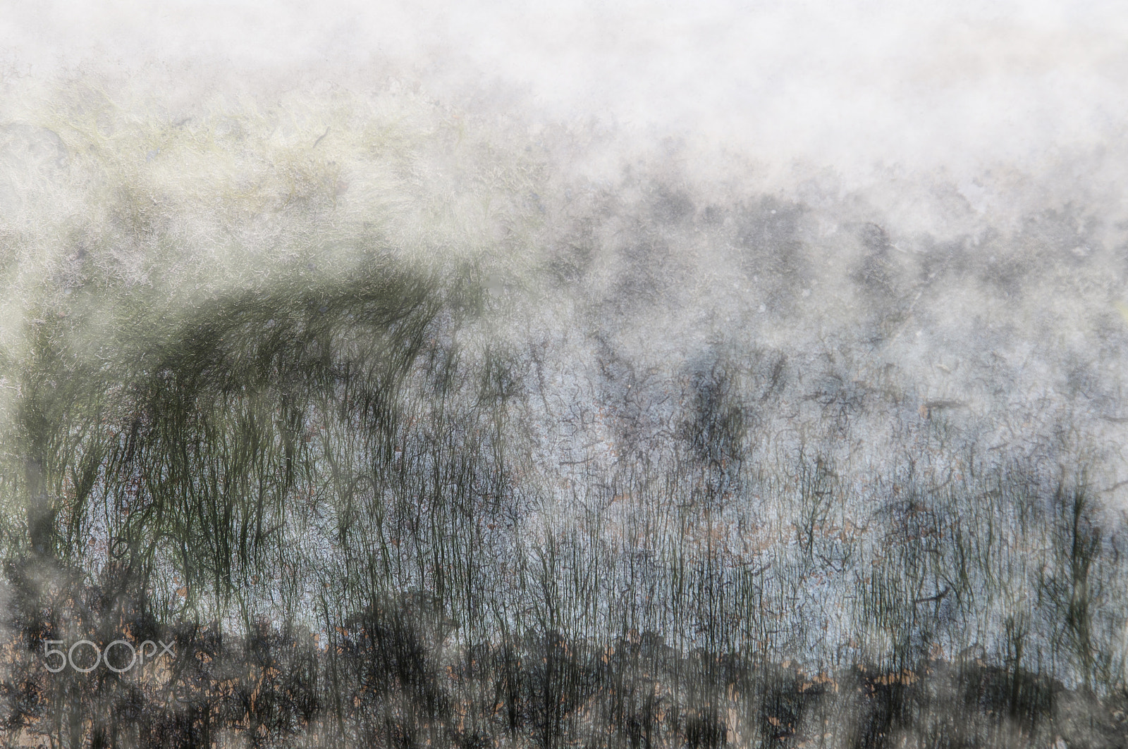 Nikon AF Nikkor 24-85mm F2.8-4D IF sample photo. Abstract 1.jpg photography
