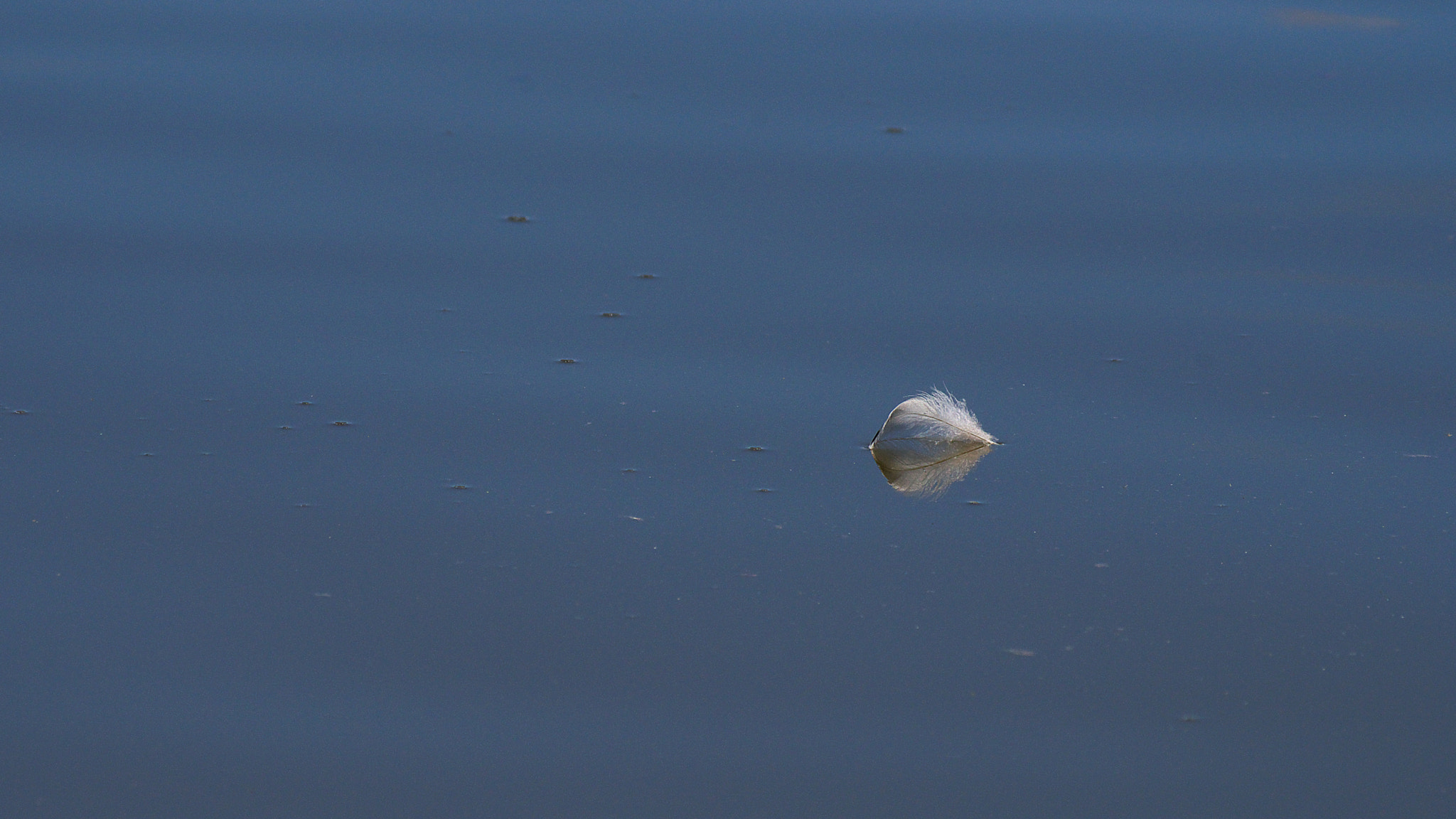 Pentax K-30 sample photo