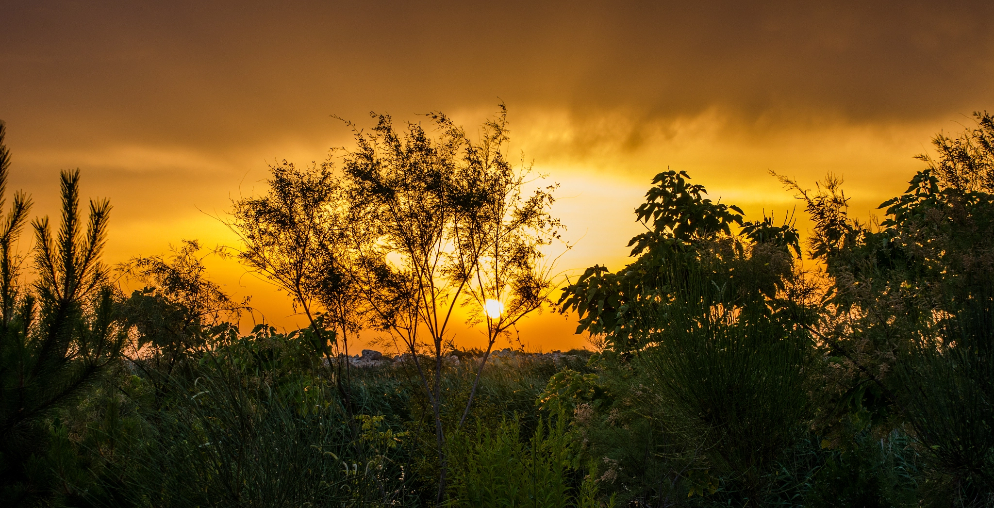 Nikon D7000 + Sigma 50mm F1.4 EX DG HSM sample photo. Crimea photography