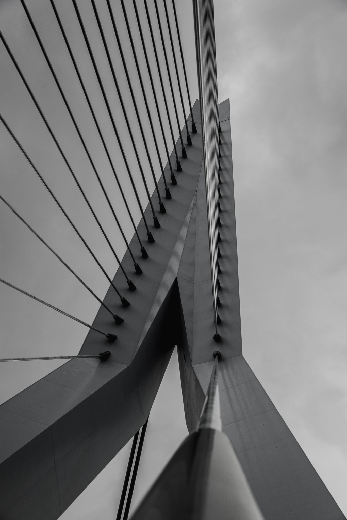Sigma 50-500mm F4.5-6.3 DG OS HSM sample photo. Erasmusbrug photography