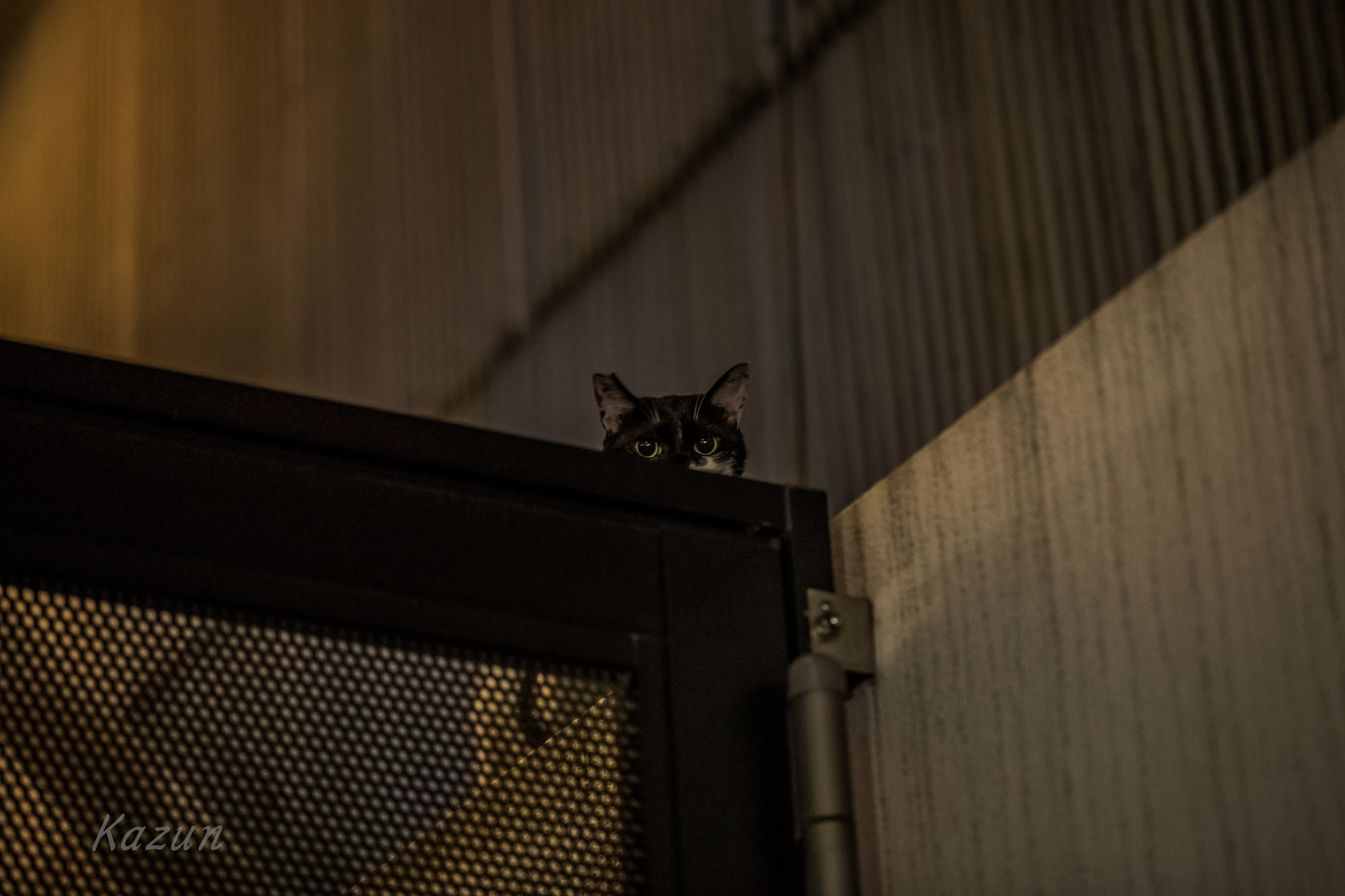 Canon EF 100mm F2.8L Macro IS USM sample photo. Find!!!  :d photography