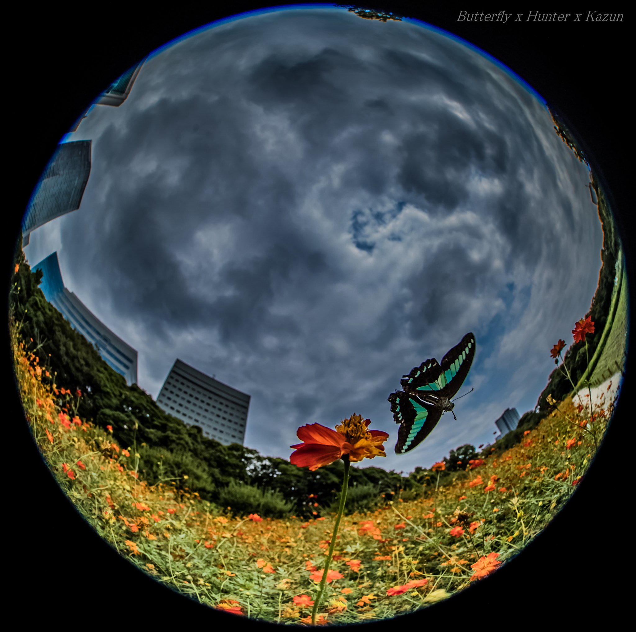 Canon EF 8-15mm F4L Fisheye USM sample photo. Falls photography