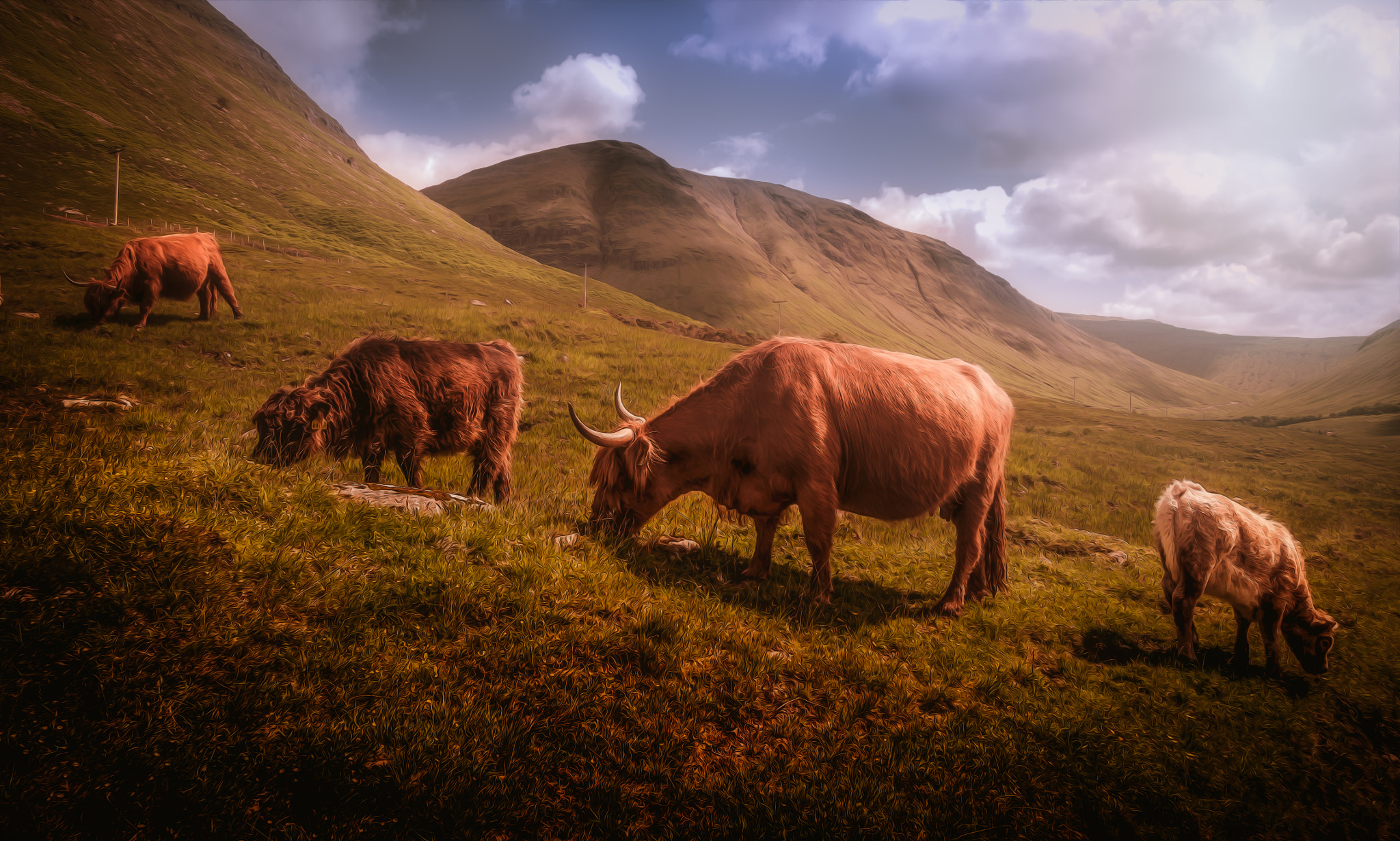 Panasonic Lumix DMC-GX1 sample photo. Highland cattle photography
