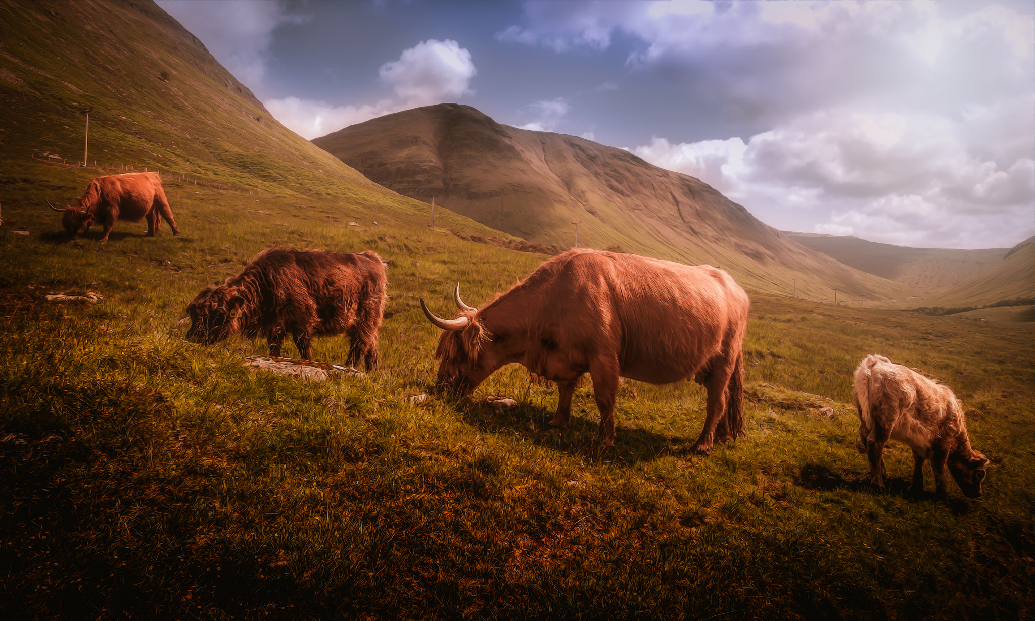 Panasonic Lumix DMC-GX1 + Panasonic Lumix G 14mm F2.5 ASPH sample photo. Highland cattle photography