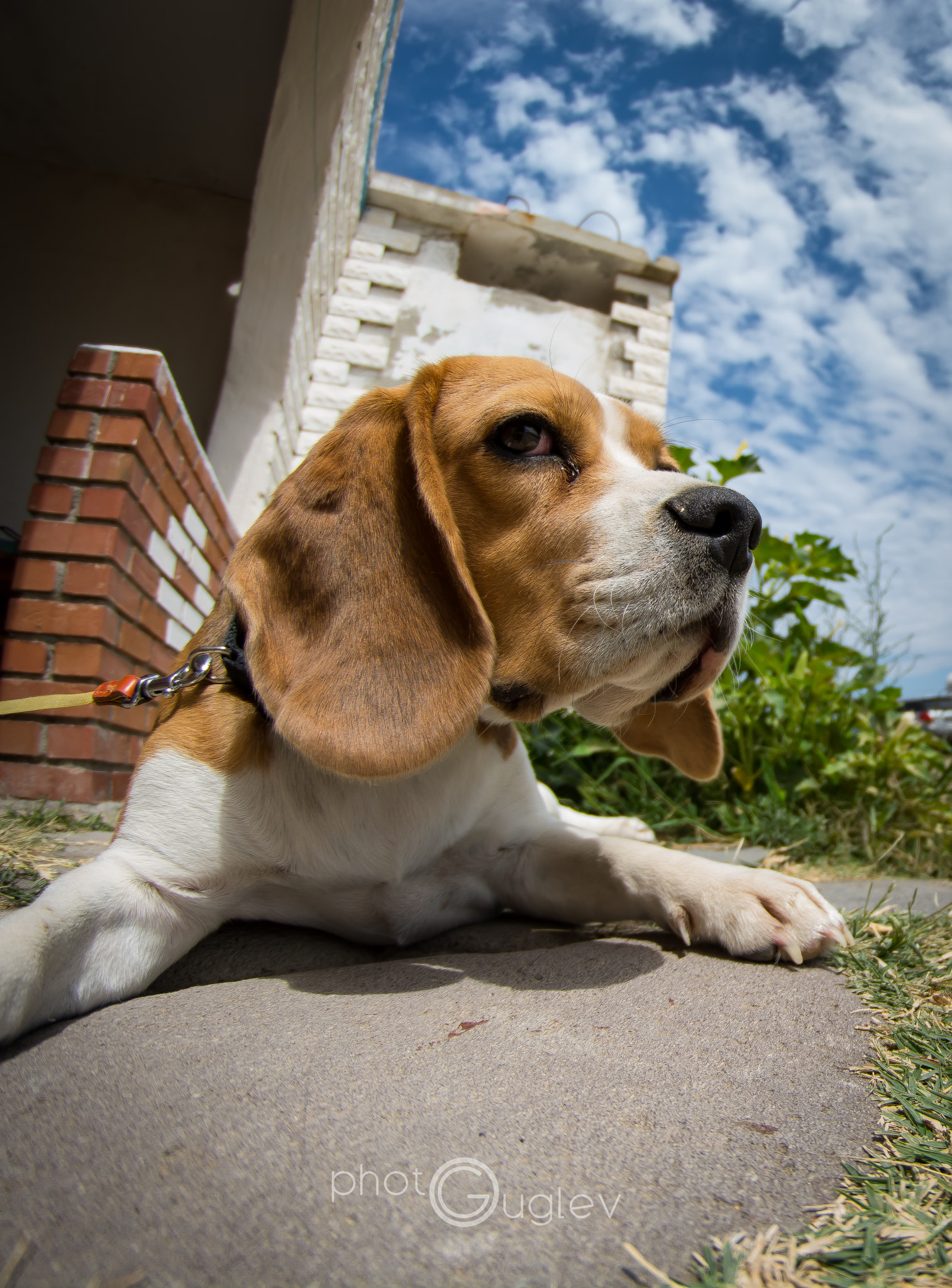 Nikon D5200 + Samyang 8mm F3.5 Aspherical IF MC Fisheye sample photo. Dsc_3446.jpg photography