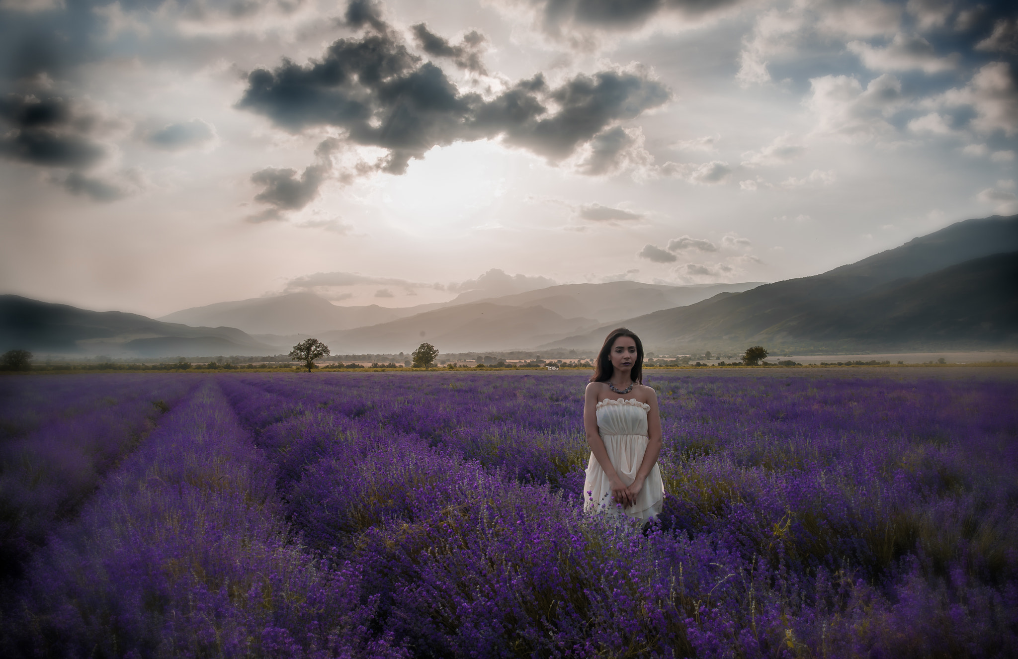 Nikon D810 + Nikon AF-S Nikkor 28mm F1.8G sample photo. Edit photography