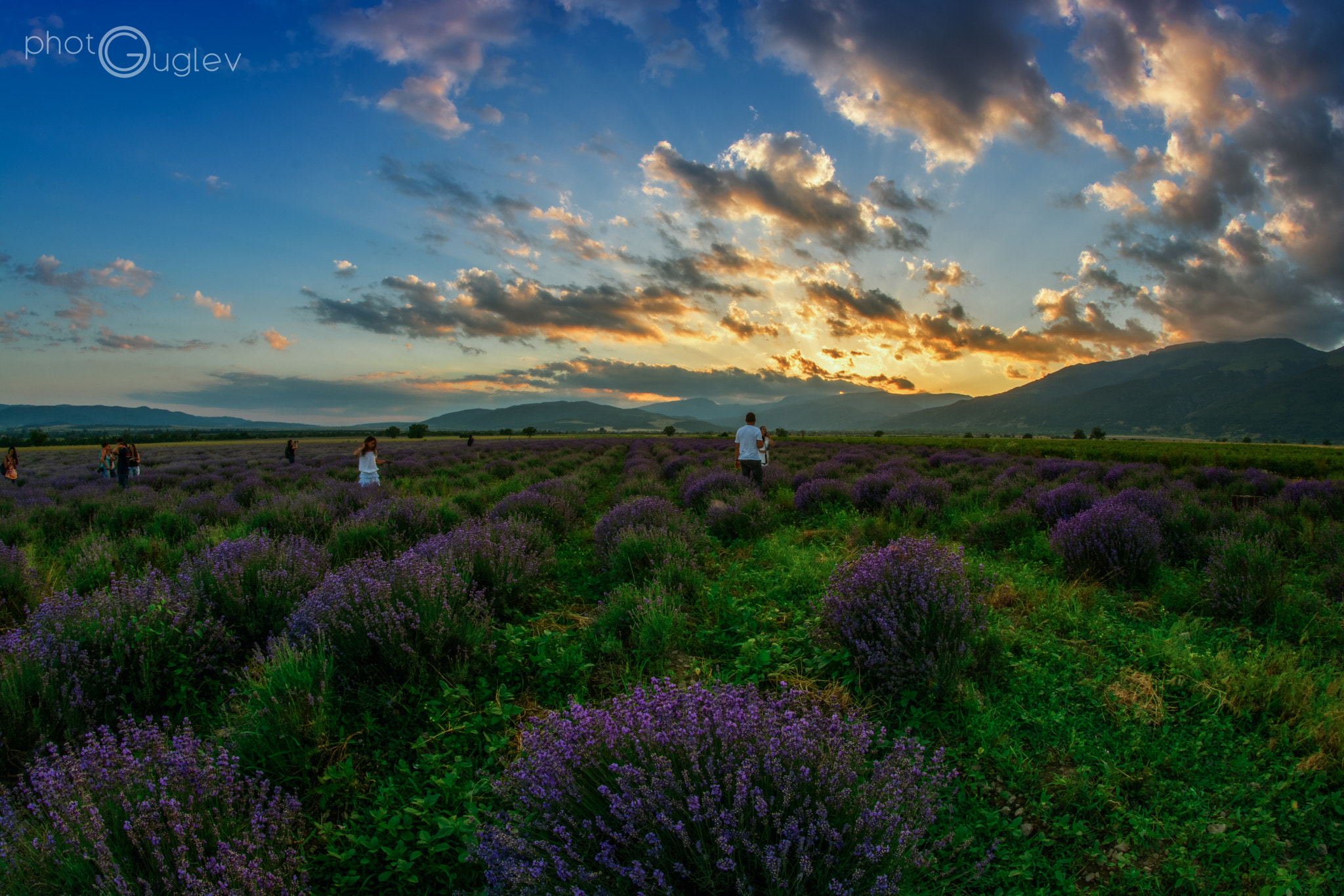 Nikon D5200 + Samyang 8mm F3.5 Aspherical IF MC Fisheye sample photo. The shooting field photography