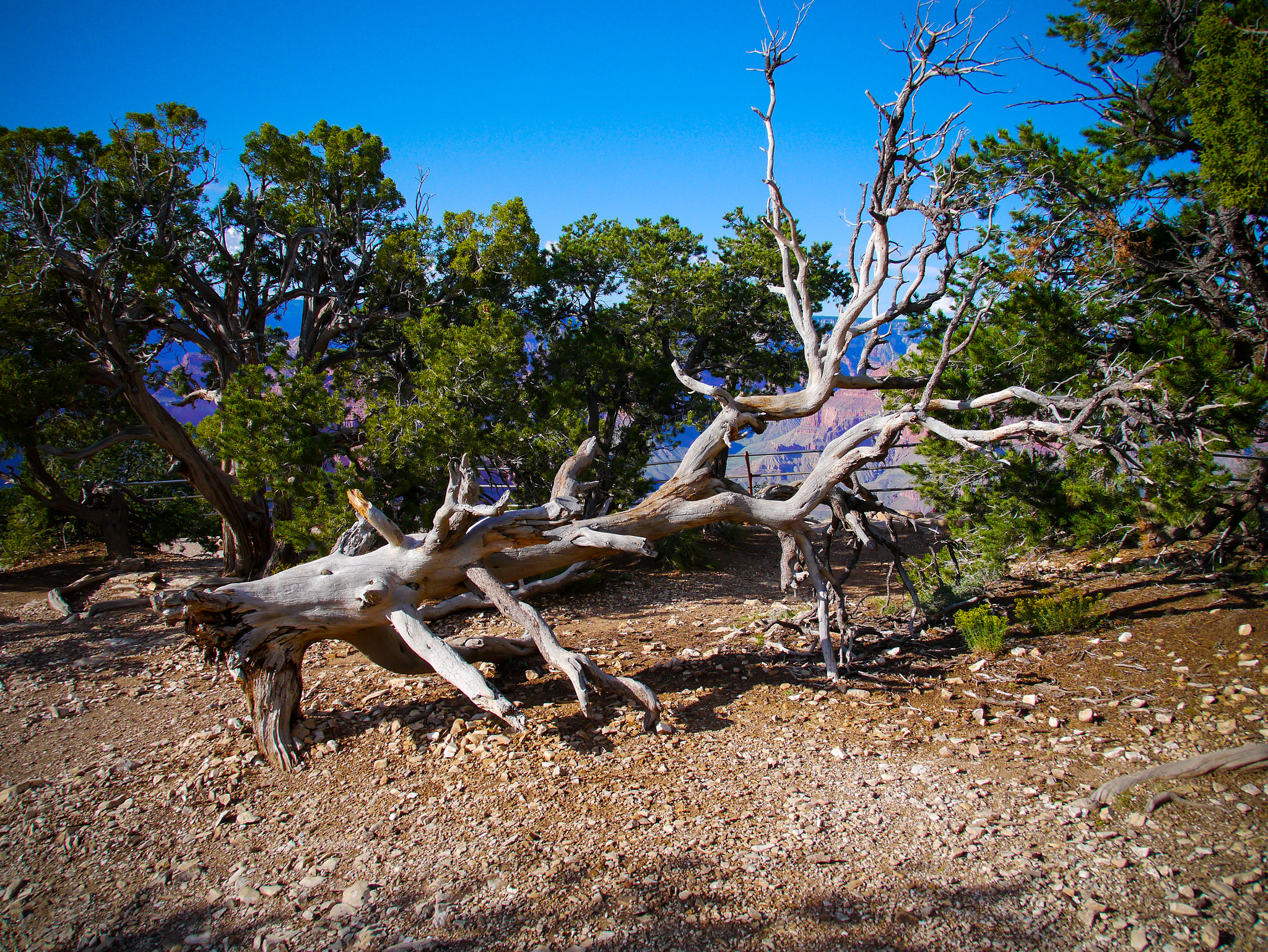 Panasonic Lumix DMC-G3 + Tamron 14-150mm F3.5-5.8 Di III sample photo. Grand canyon xv photography