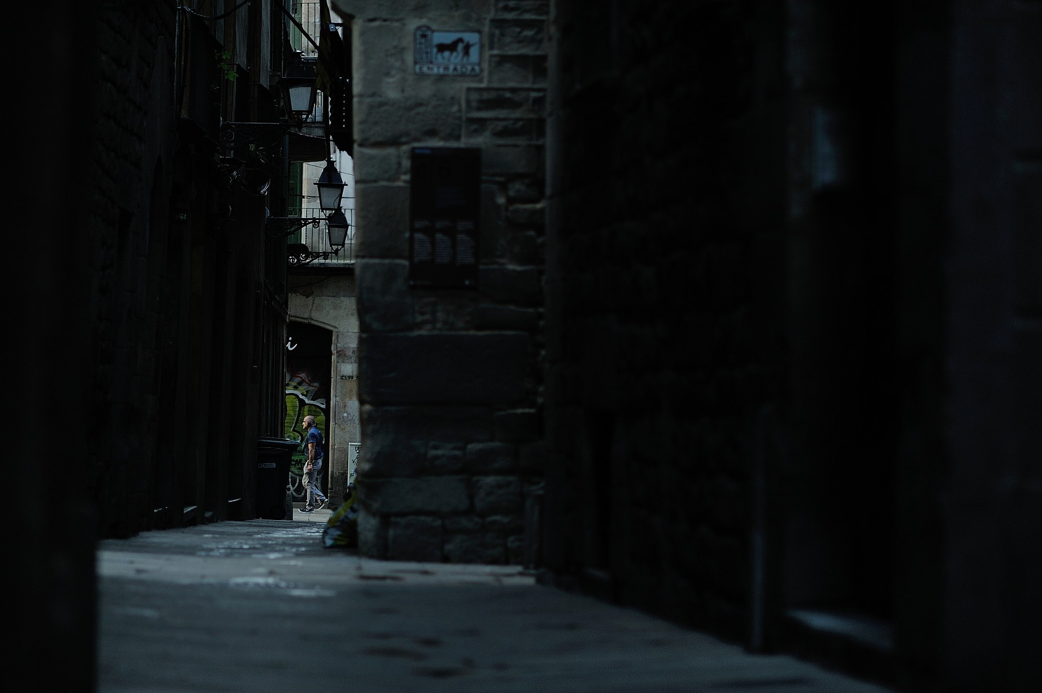 Nikon D700 + AF DC-Nikkor 135mm f/2D sample photo. Deeper photography