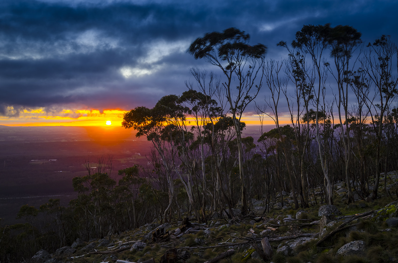 Nikon AF-S Nikkor 14-24mm F2.8G ED sample photo. Mount macedon photography