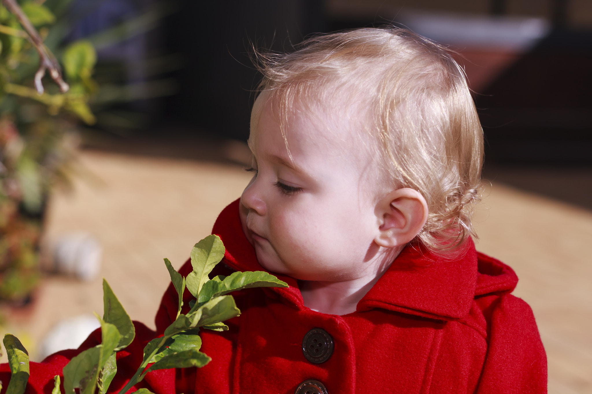 Canon EOS-1D Mark III sample photo. Caelan photography