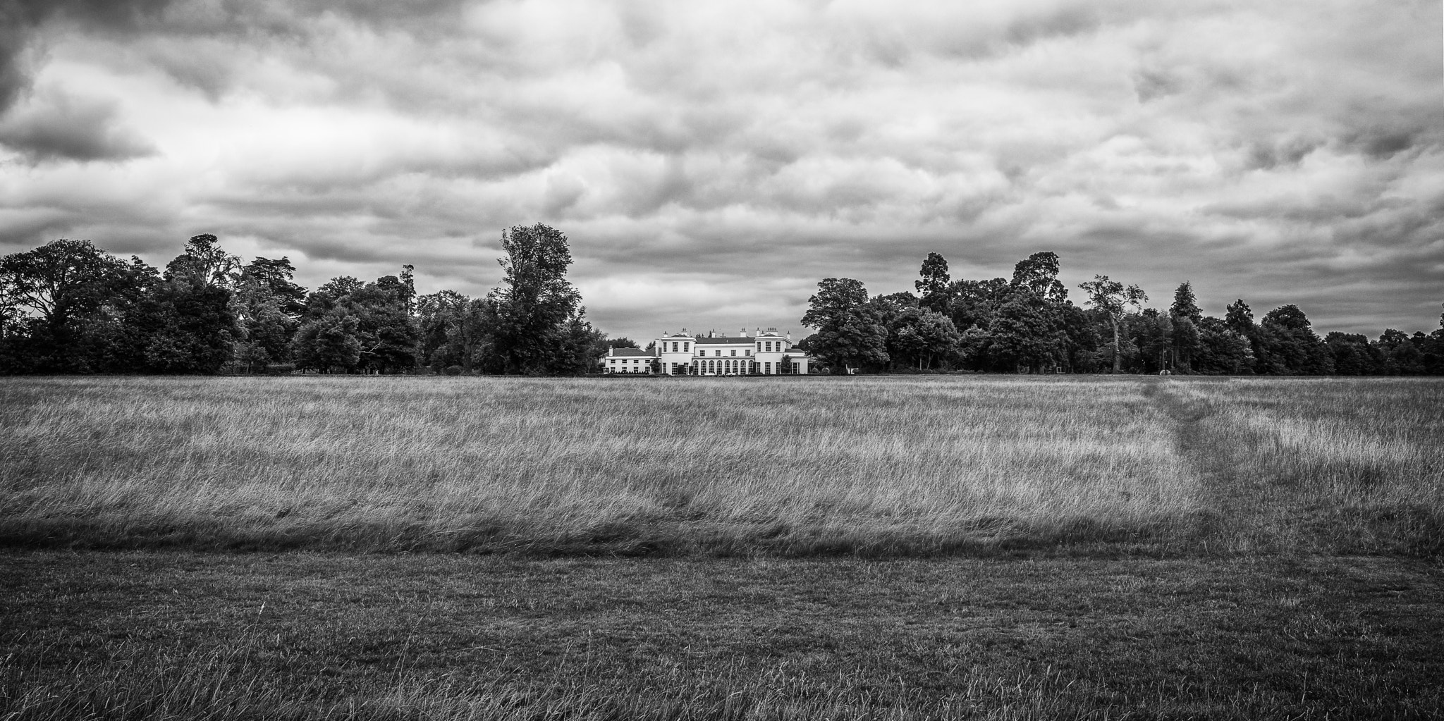 Canon EF-S 24mm F2.8 STM sample photo. In park b&w photography