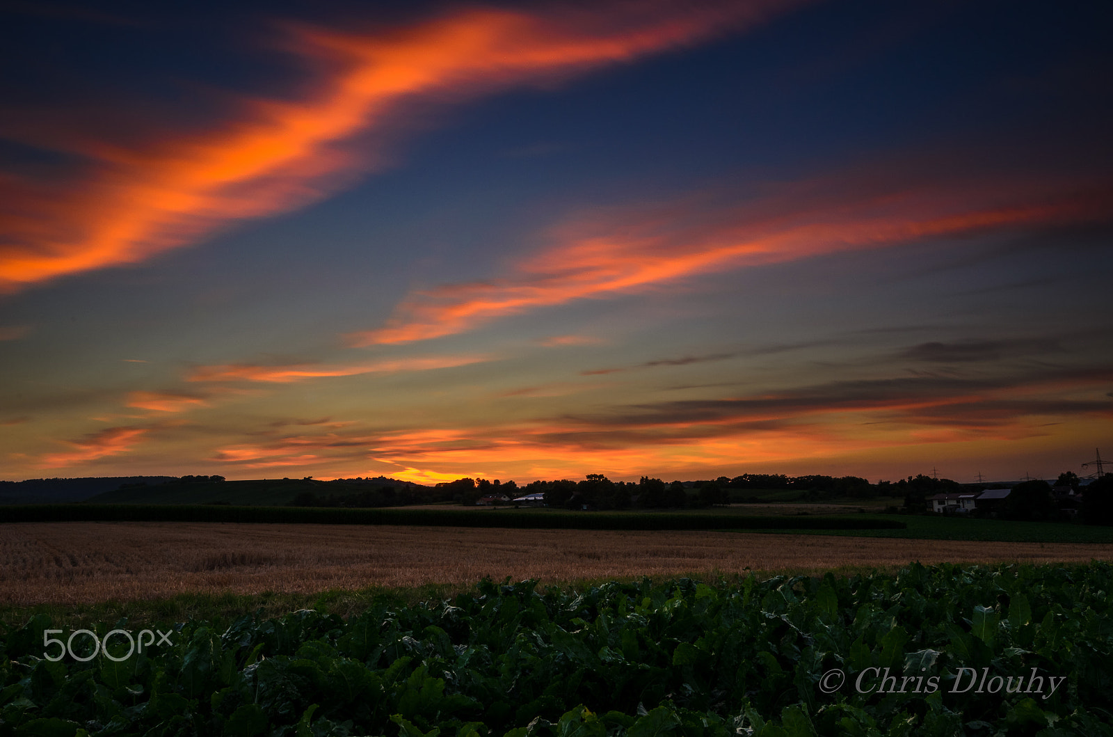 Nikon AF-S Nikkor 14-24mm F2.8G ED sample photo. Sunset #3 photography