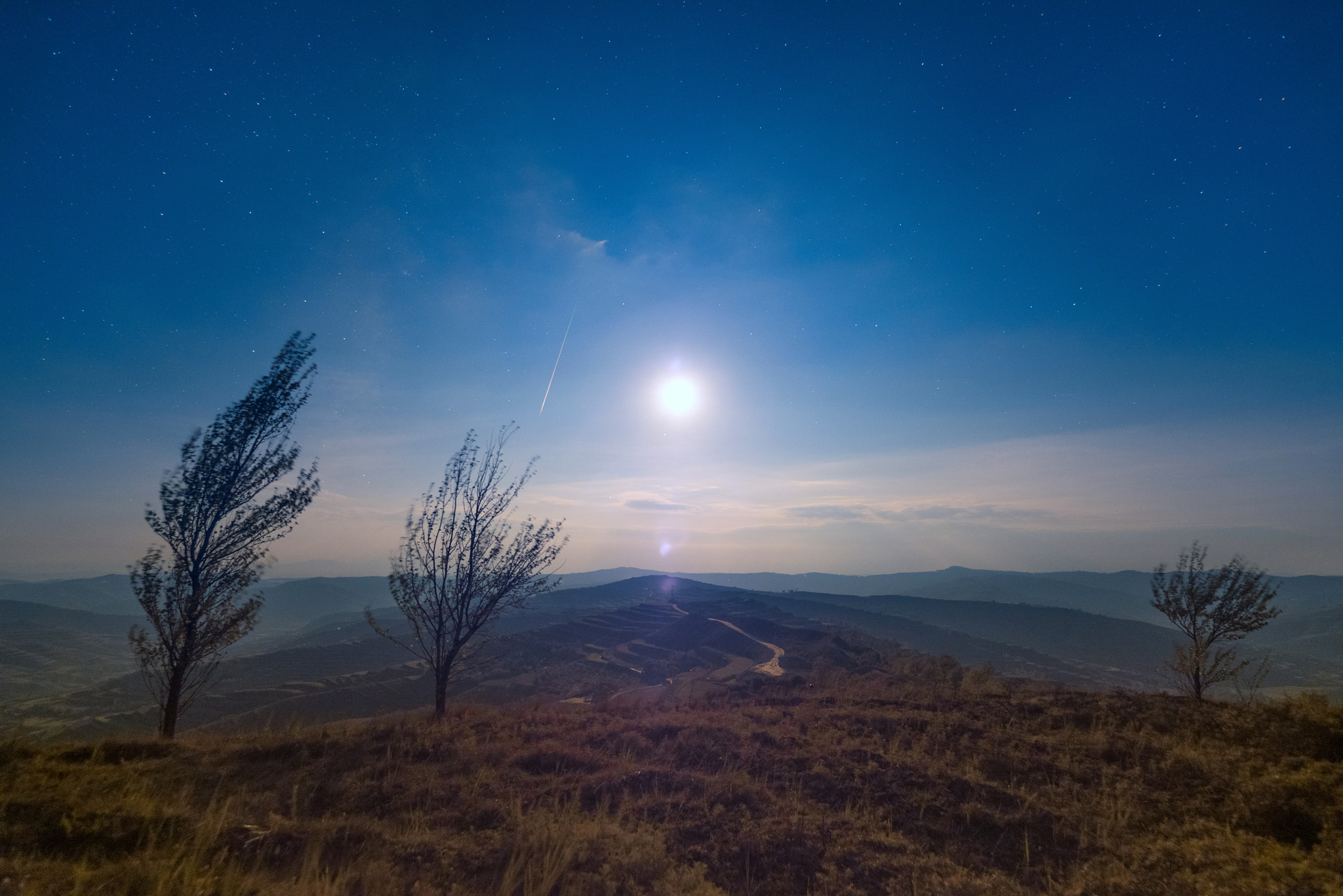 Sigma 20mm F1.4 DG HSM Art sample photo. Falling star photography
