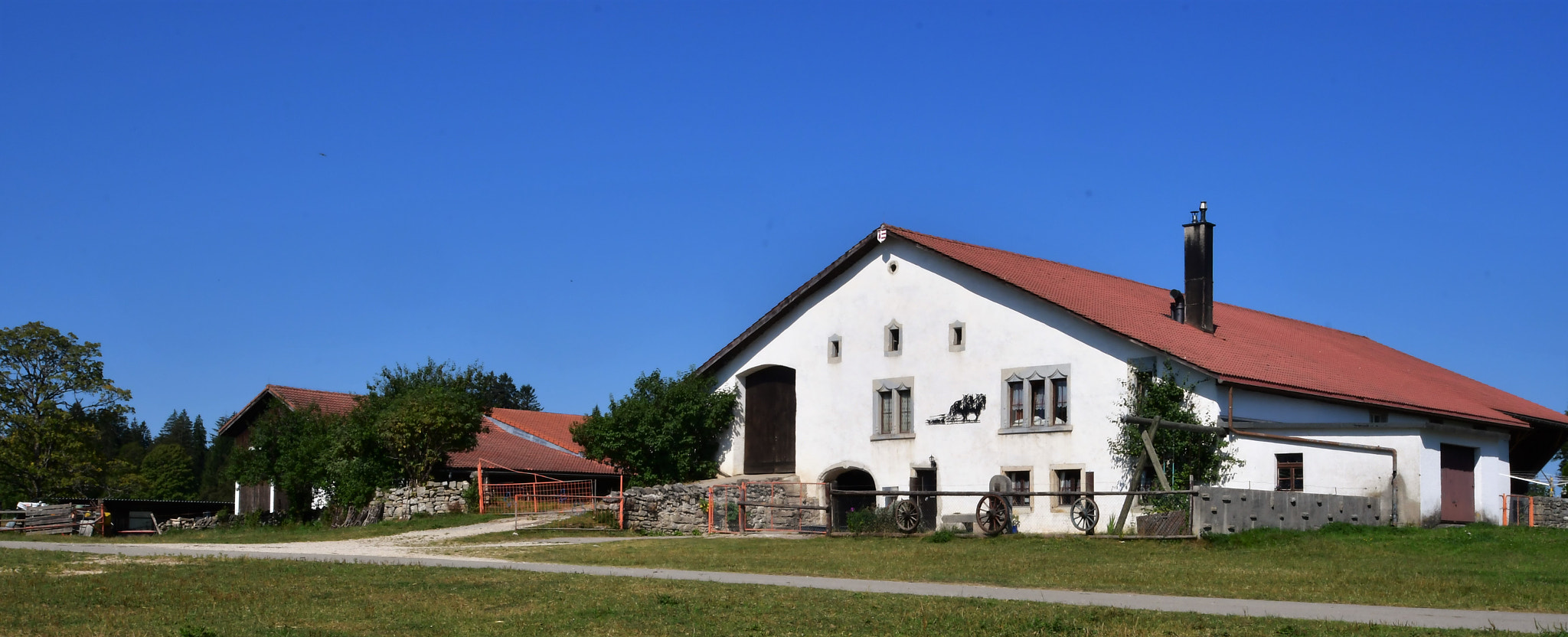 Nikon D500 sample photo. Ferme des franches-montagnes photography