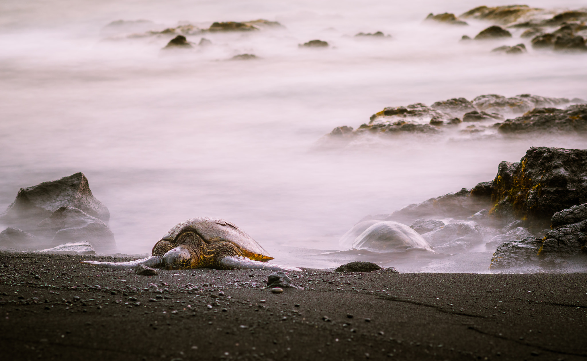 Nikon D5100 + Sigma 85mm F1.4 EX DG HSM sample photo. Coming and going photography