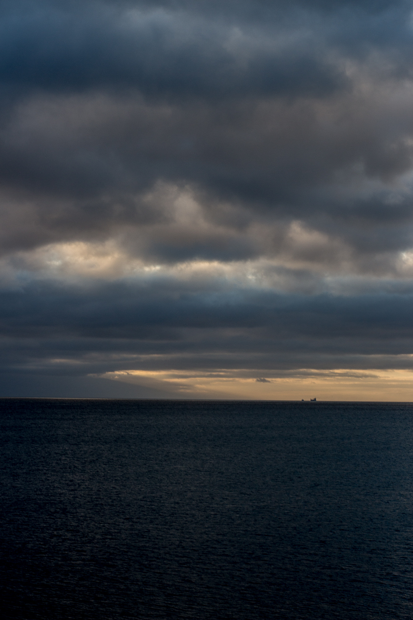 ZEISS Planar T* 50mm F1.4 sample photo. Brooding photography