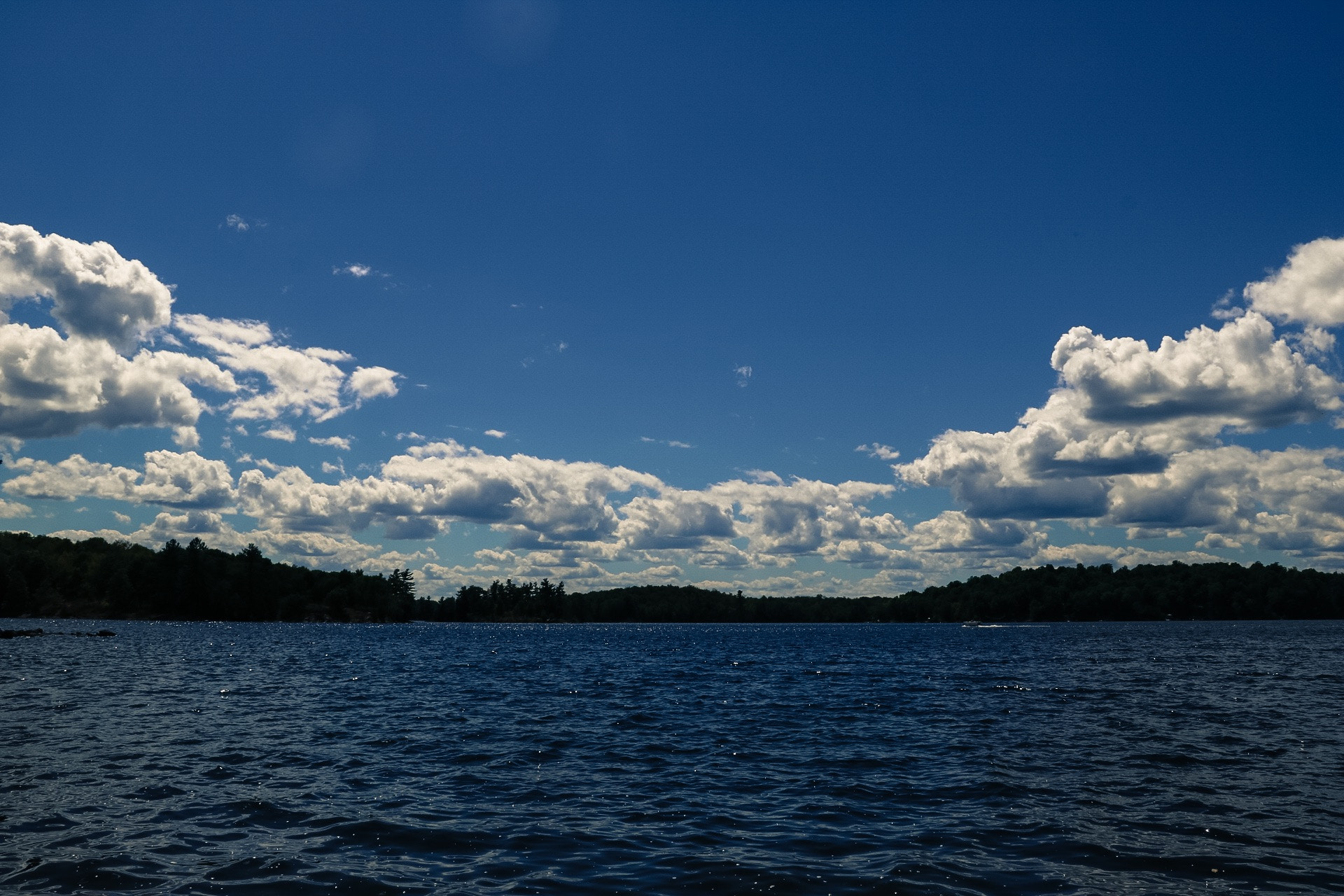 Canon EOS 760D (EOS Rebel T6s / EOS 8000D) sample photo. I see skies of blue. photography