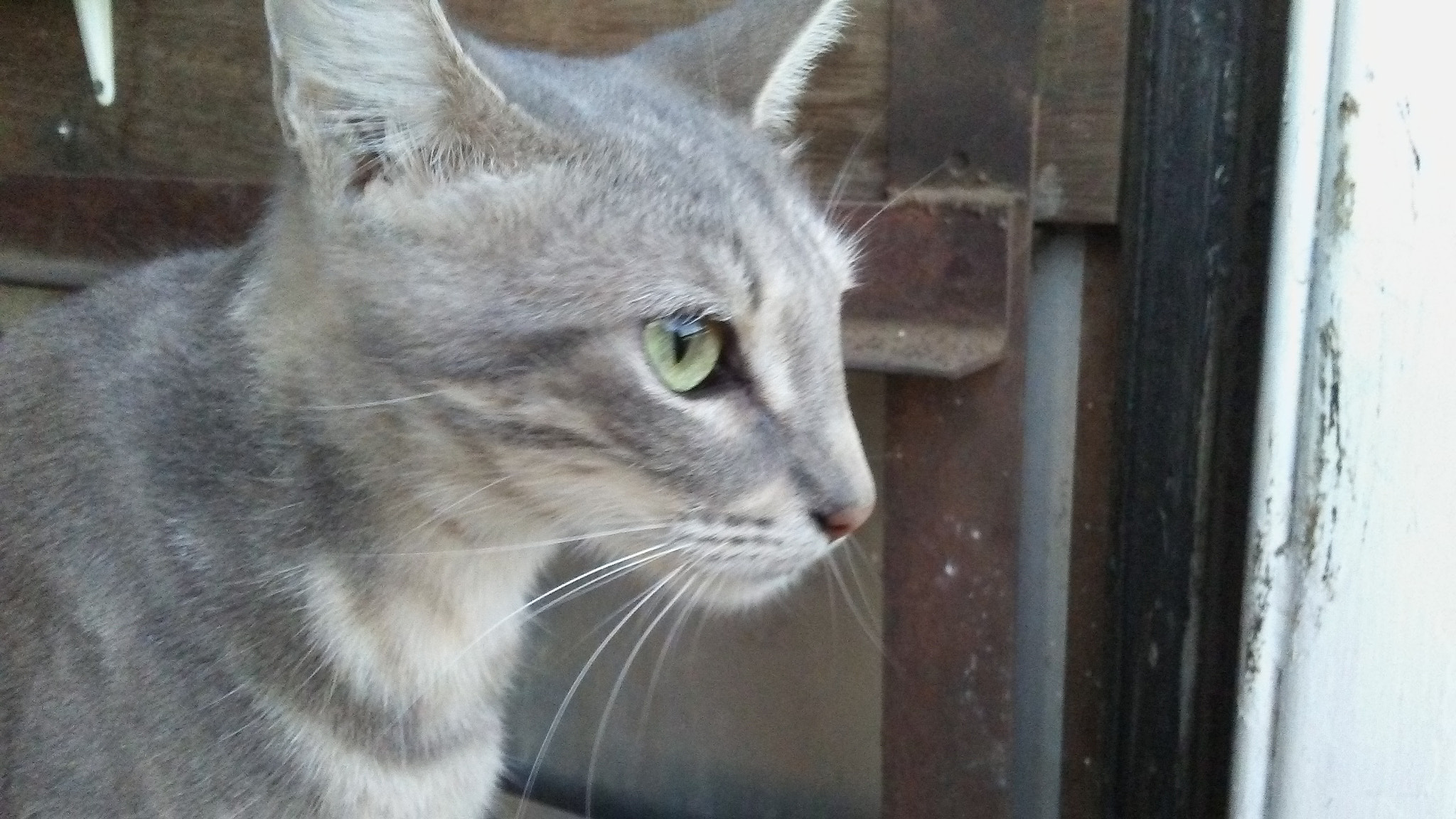 LG M1 sample photo