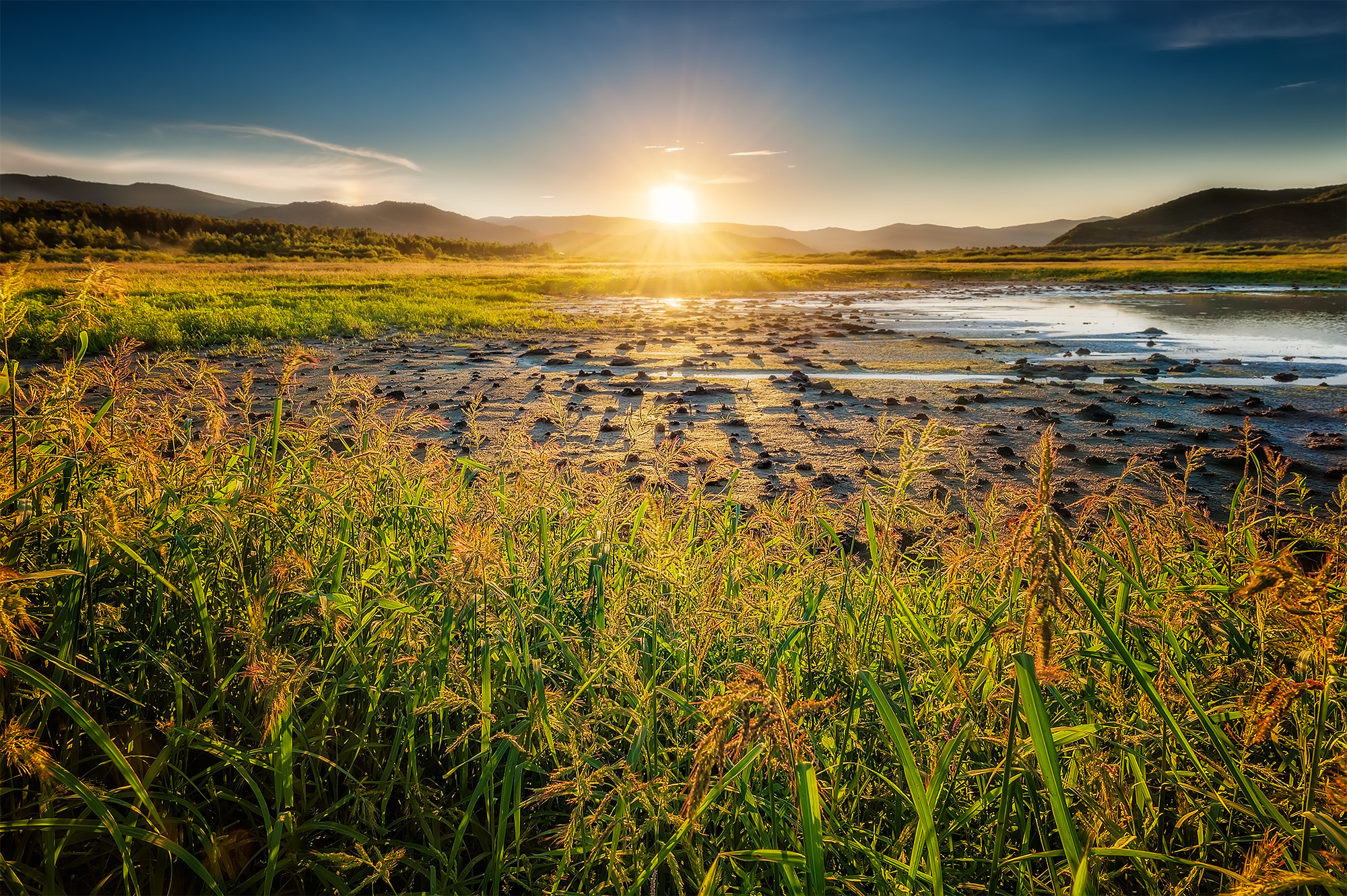 Nikon D3X sample photo. Light seeds photography