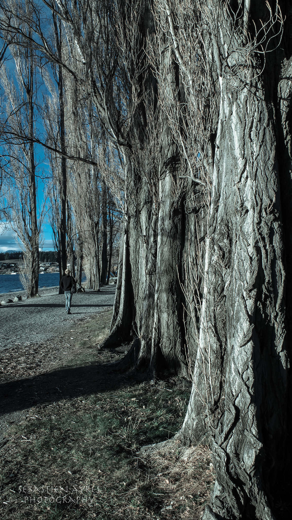 Pentax K-S2 sample photo. Insignificant photography