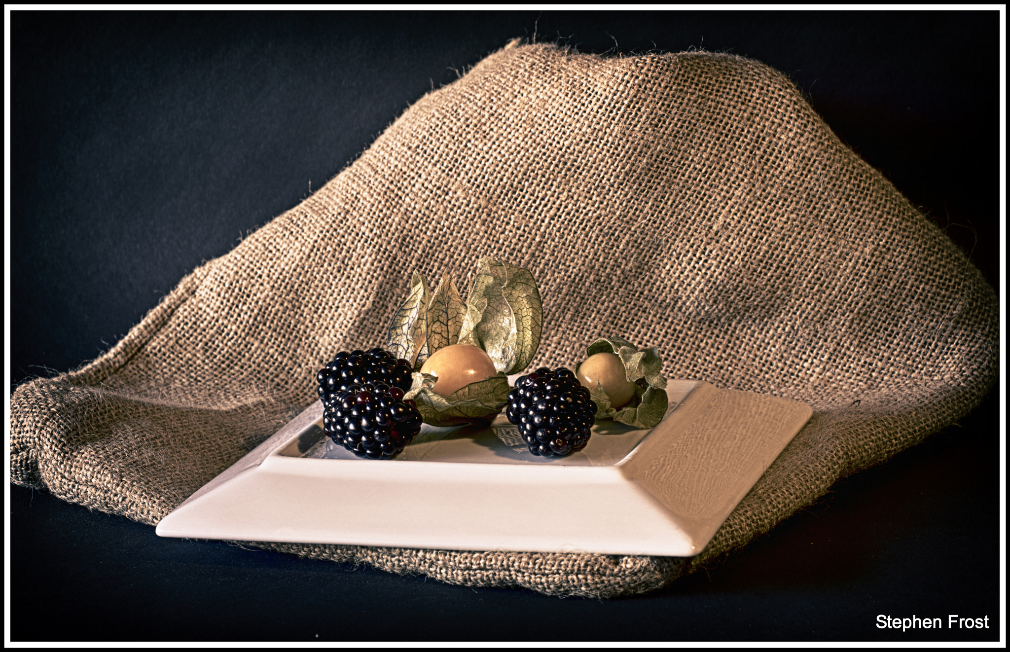 Olympus PEN E-PL5 sample photo. Still life : physalis and blackberry study photography