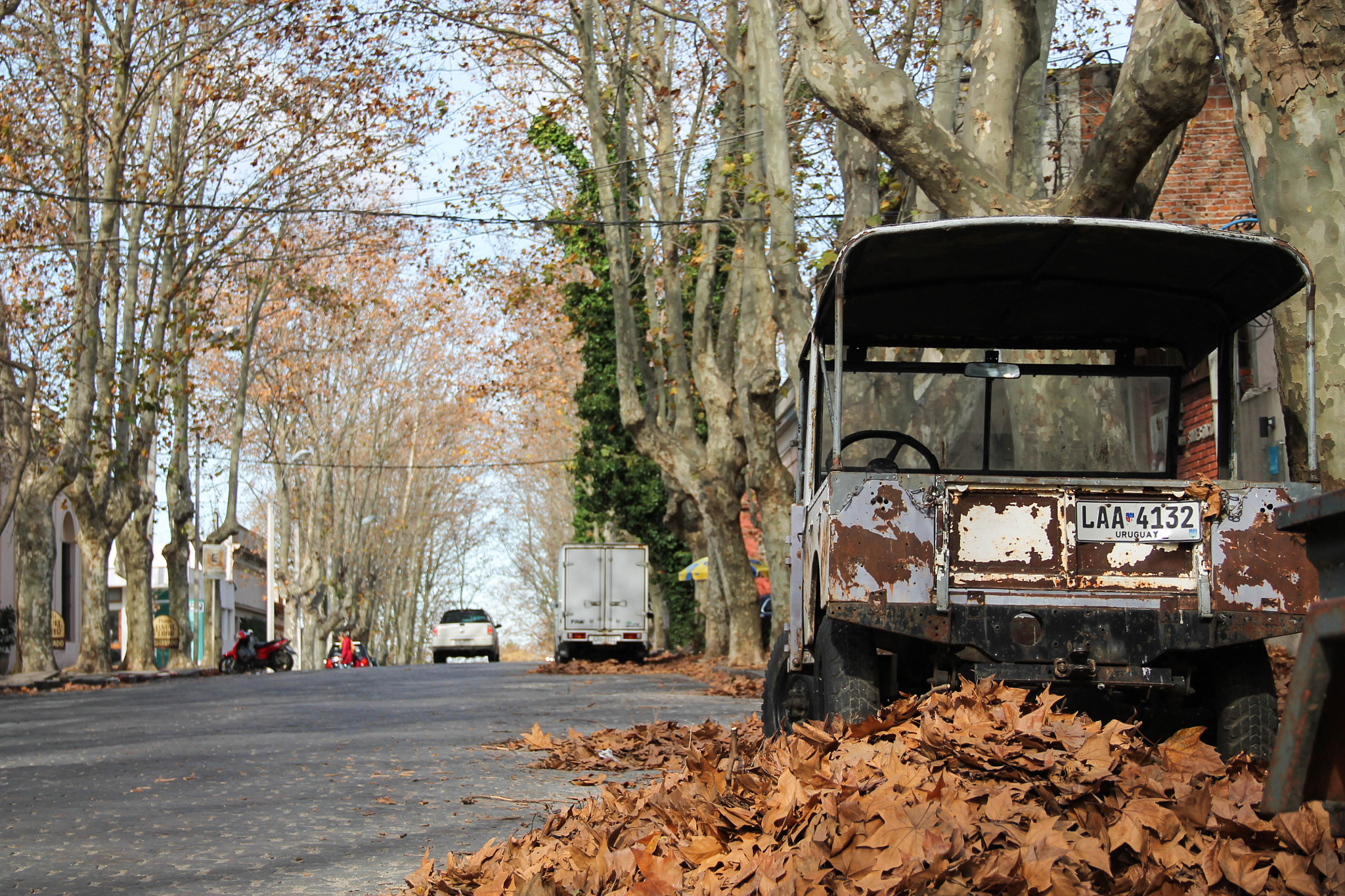 Canon EOS 1100D (EOS Rebel T3 / EOS Kiss X50) sample photo. Um carro abandonado? photography