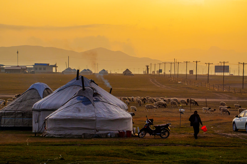Olympus PEN E-PL5 + OLYMPUS M.75-300mm F4.8-6.7 sample photo. The prairie alba/晨曲 photography