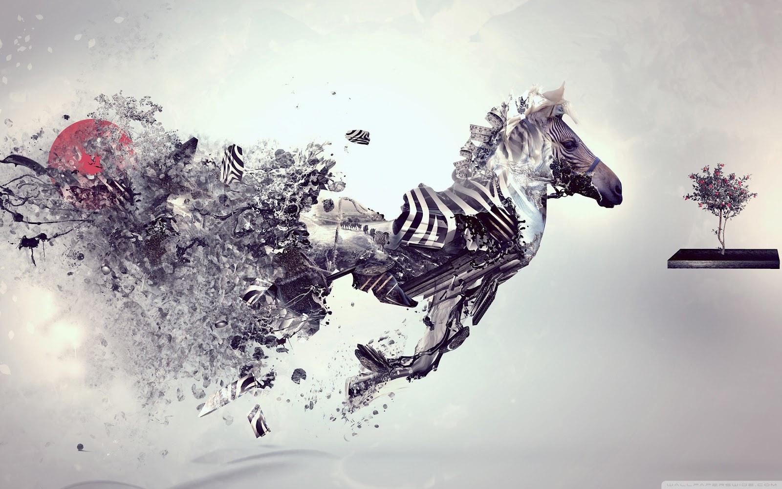 Exploding Zebra