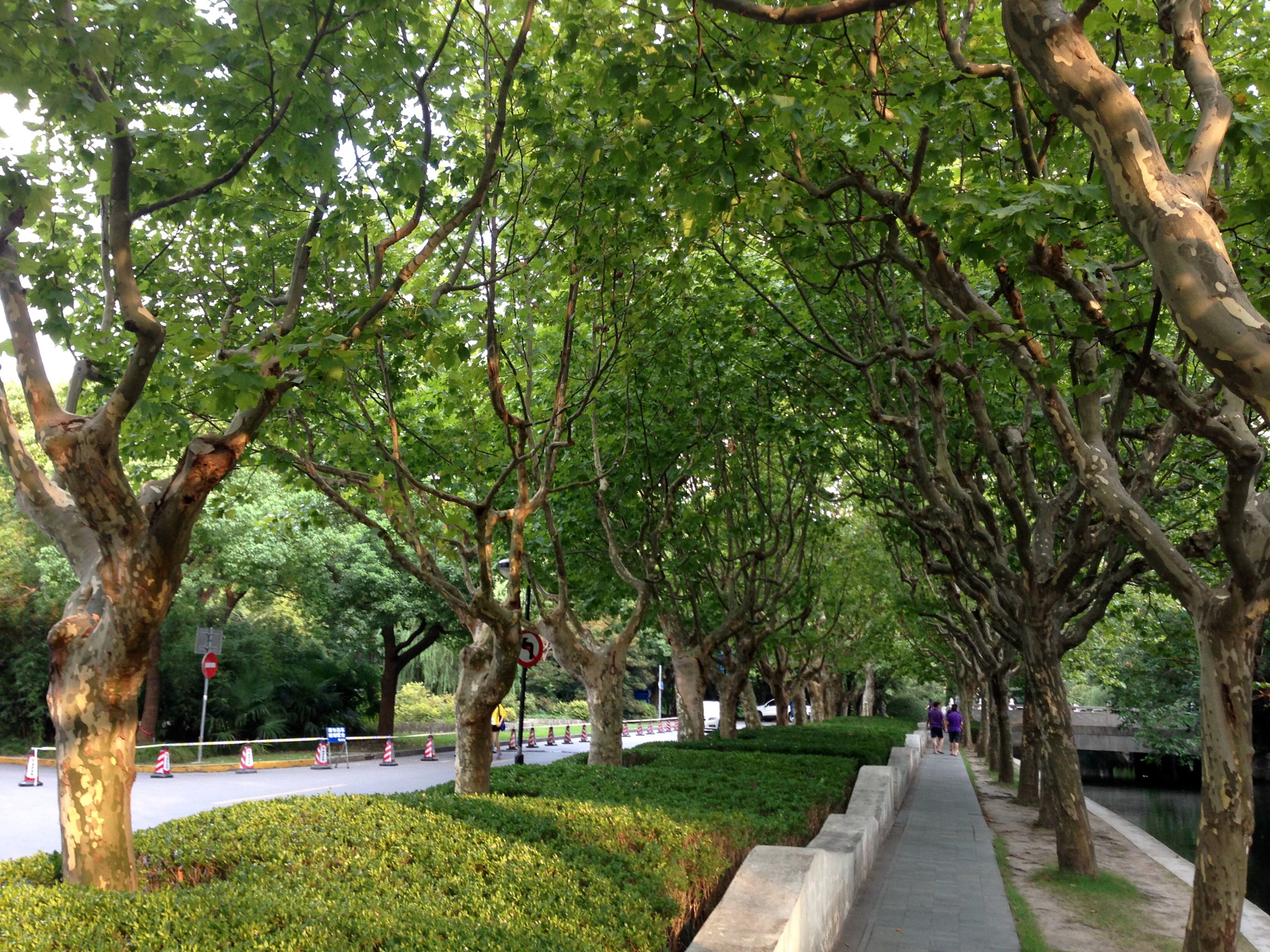 Apple iPhone5,2 sample photo. Road in campus 校园中的小路 photography