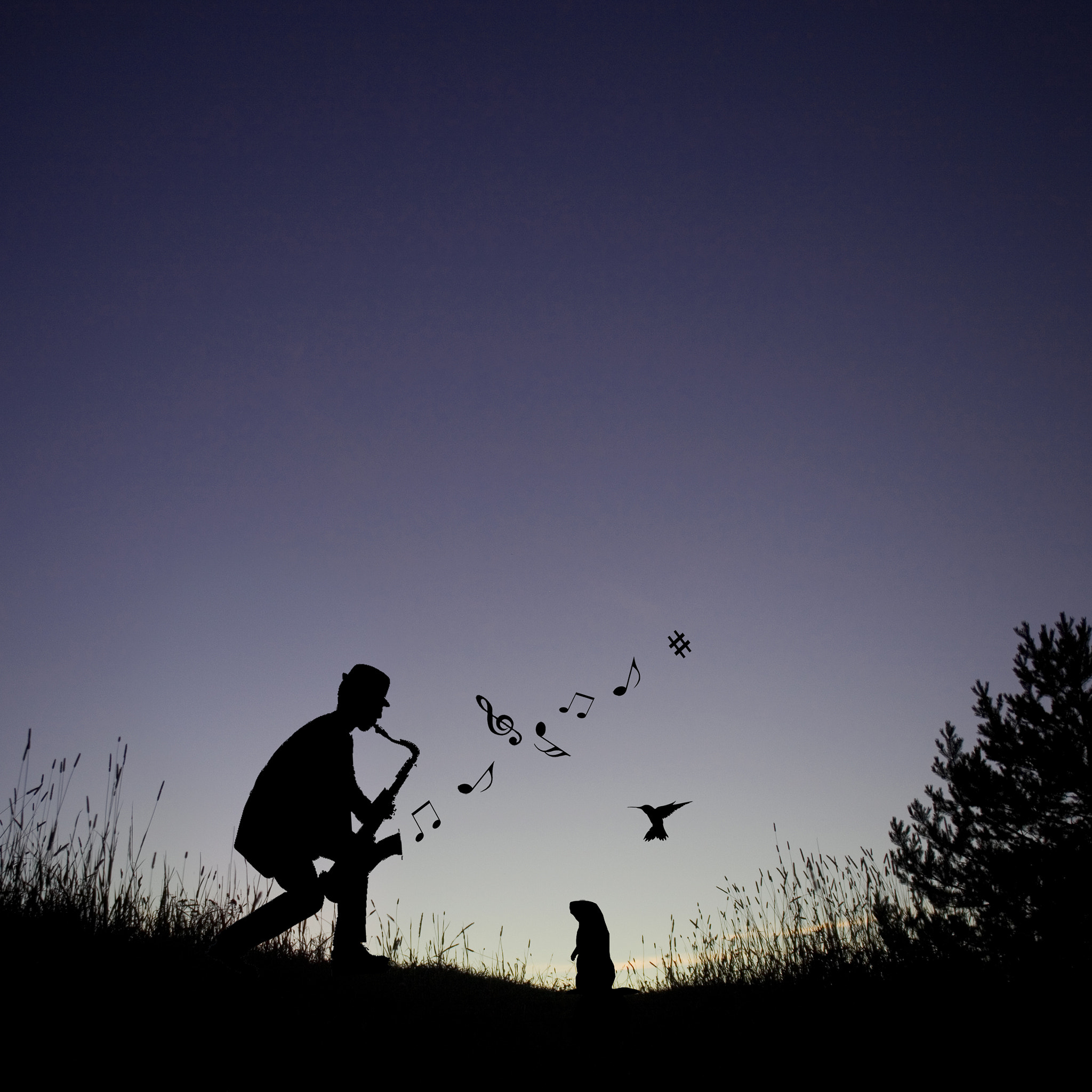 Canon EOS 5D Mark II + Canon EF 24mm F2.8 sample photo. Magical melody photography