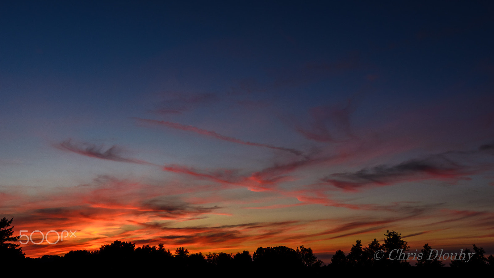 Nikon AF-S Nikkor 14-24mm F2.8G ED sample photo. Sunset #5 photography