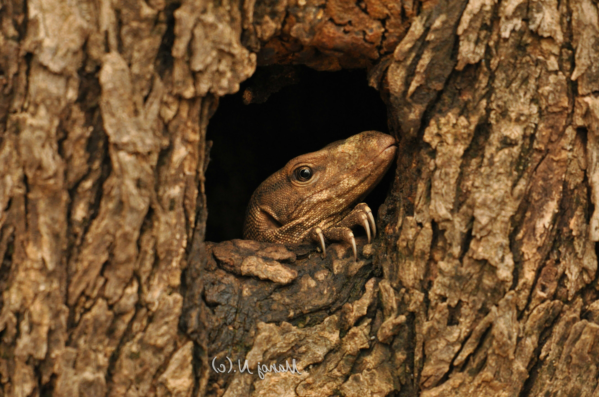 Nikon AF-S Nikkor 200-500mm F5.6E ED VR sample photo
