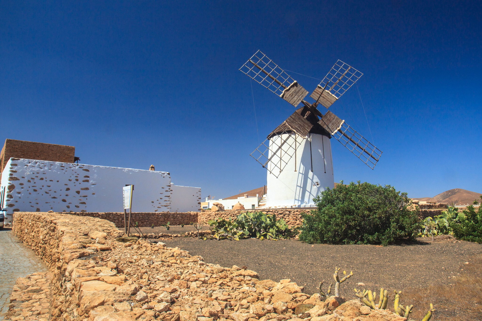 Canon EOS-1D Mark IV sample photo. El molino - feurteventura photography