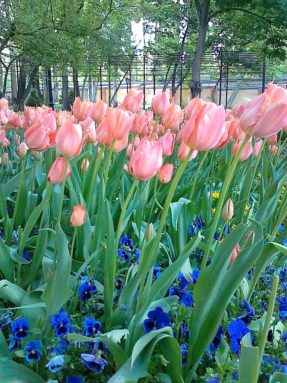 Nokia E52-1 sample photo. 24042013216.jpg photography