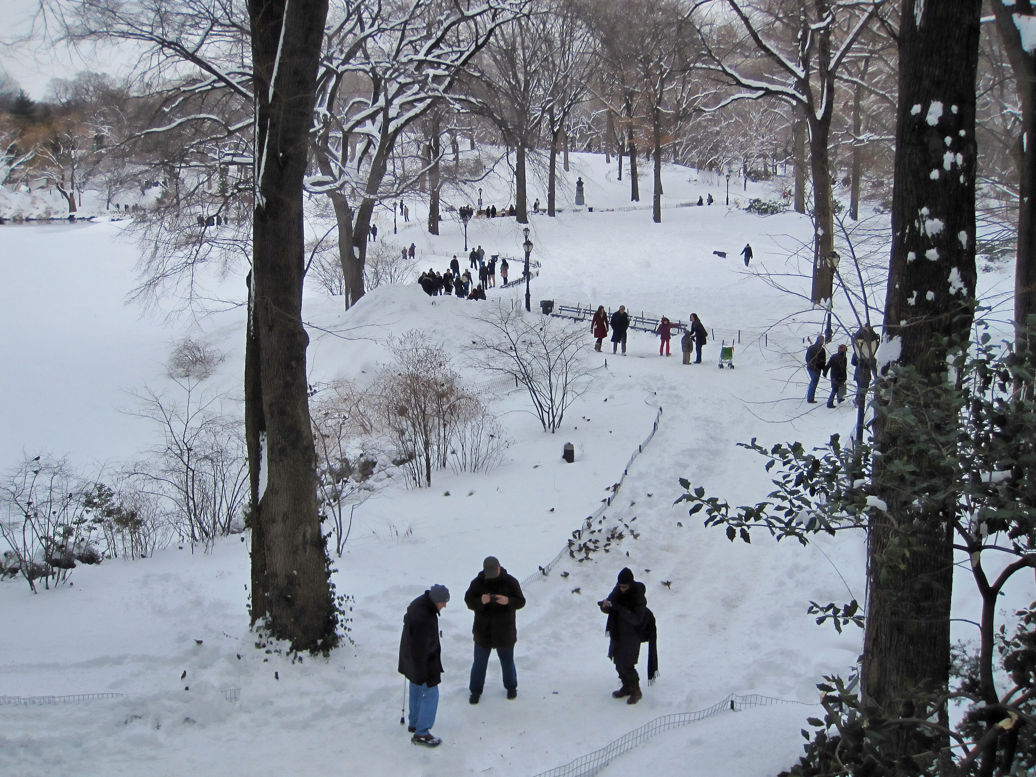 Canon PowerShot SD970 IS (Digital IXUS 990 IS / IXY Digital 830 IS) sample photo. Winter scene in central park, nyc photography