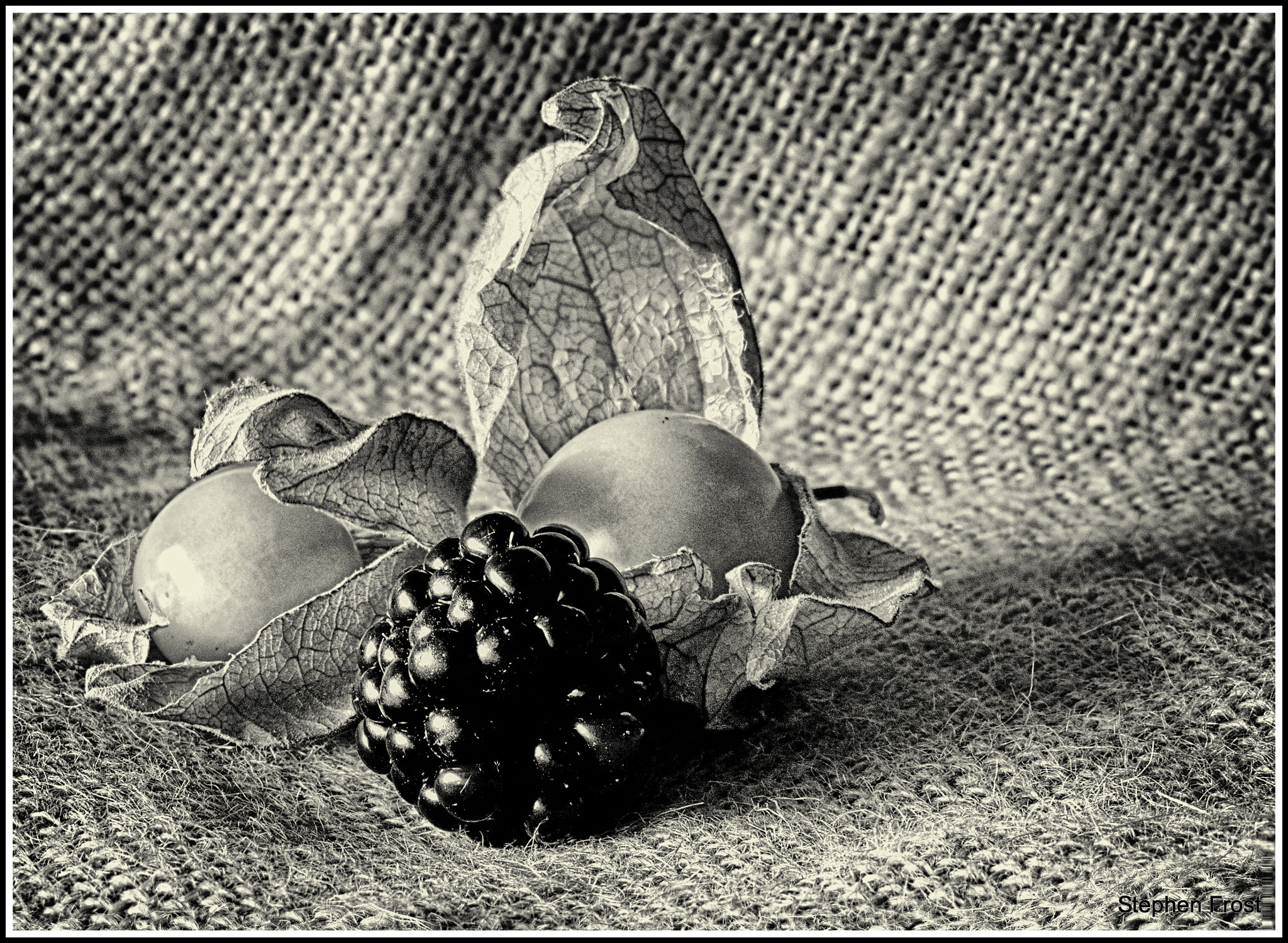 Olympus PEN E-PL5 sample photo. Physalis and blackberry study :still life photography