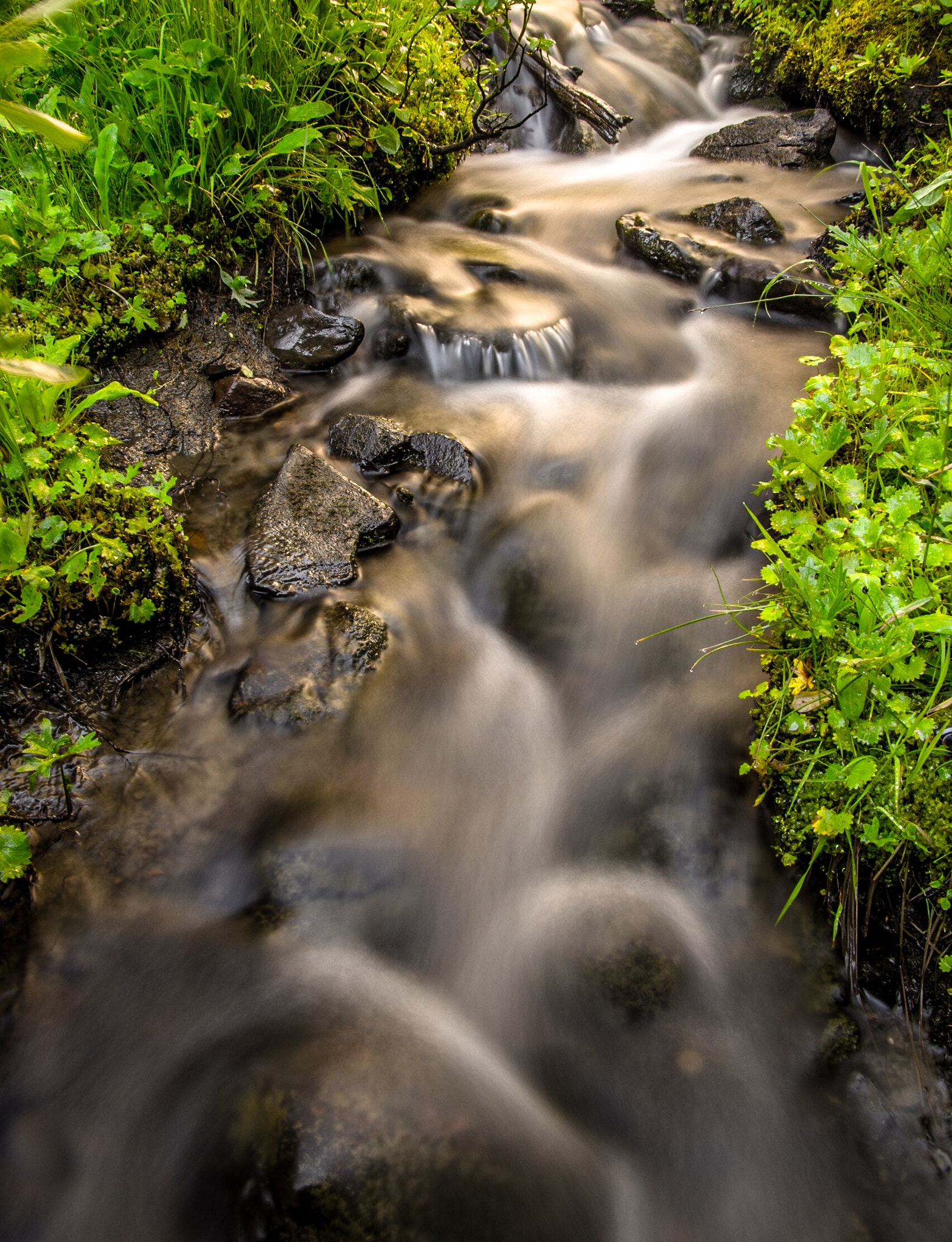 Pentax K-3 II sample photo. Lovely windey rivers in royal basin photography