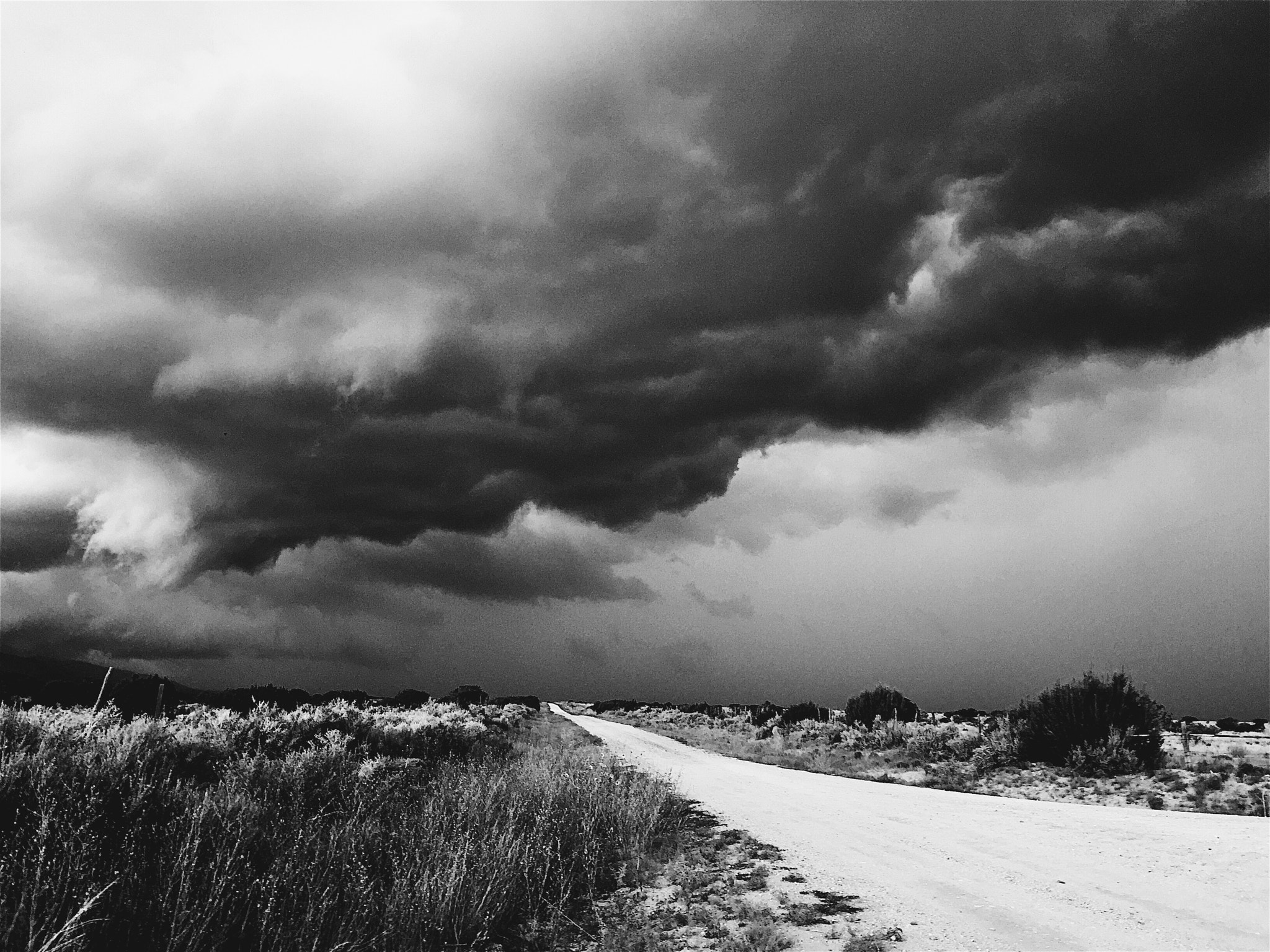 Apple iPhone7,2 sample photo. Into the storm photography