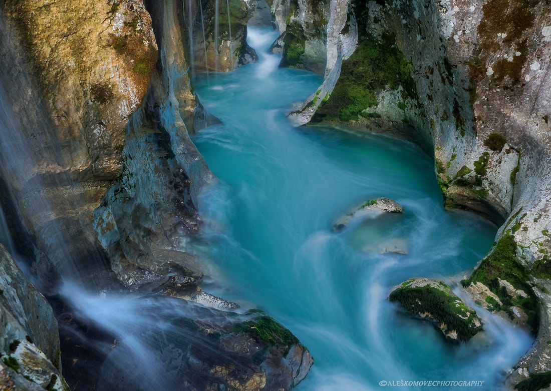Olympus Zuiko Digital ED 12-60mm F2.8-4.0 SWD sample photo. The emerald beauty photography