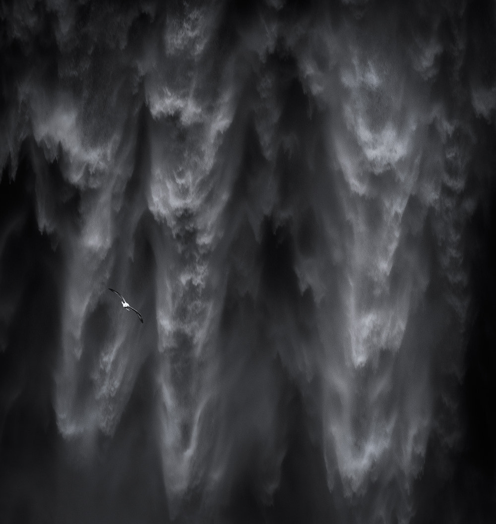 Nikon AF-S Nikkor 70-200mm F4G ED VR sample photo. The crapper photography