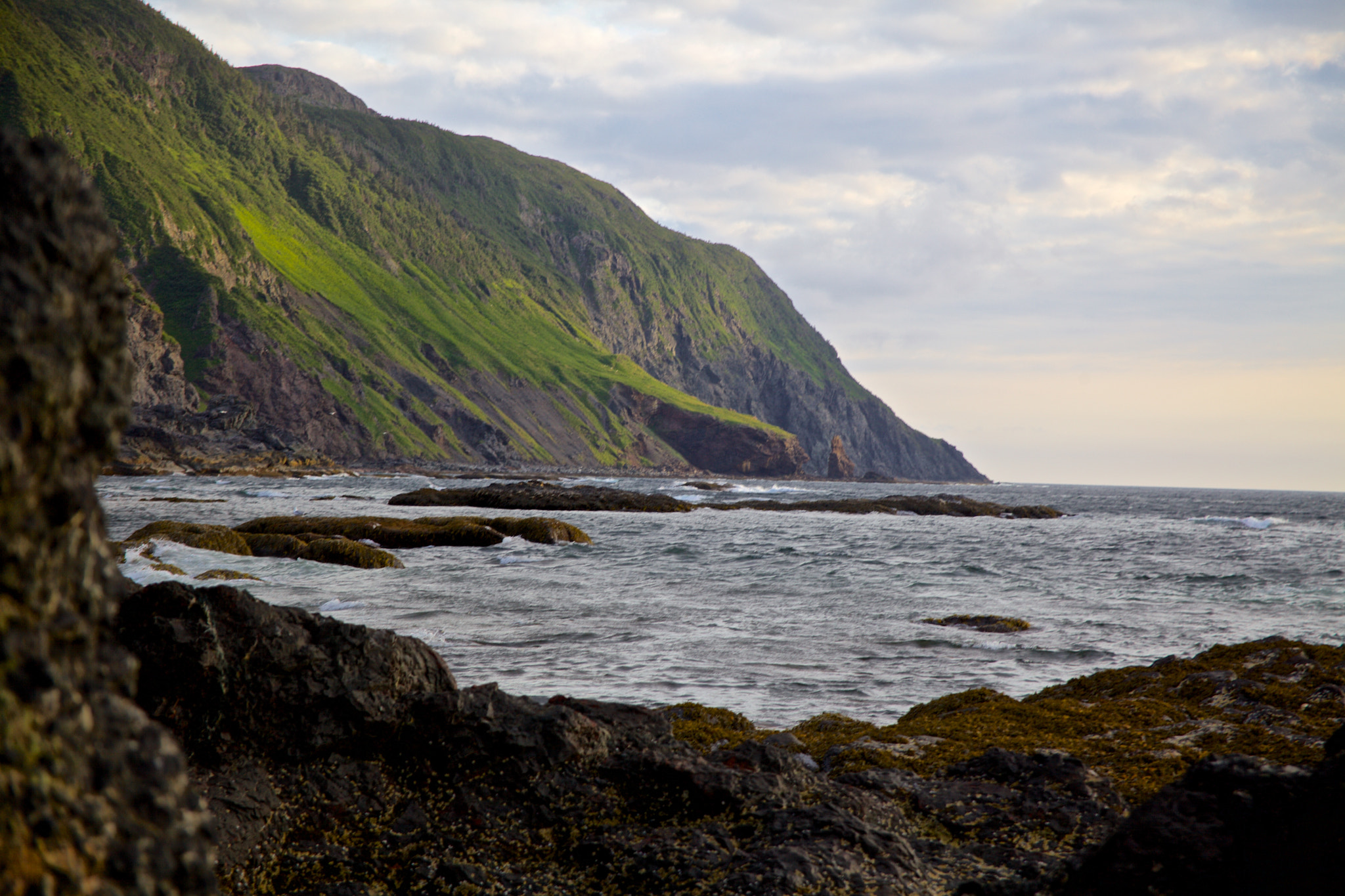 Canon EF 24-85mm F3.5-4.5 USM sample photo. Green gardens trail photography